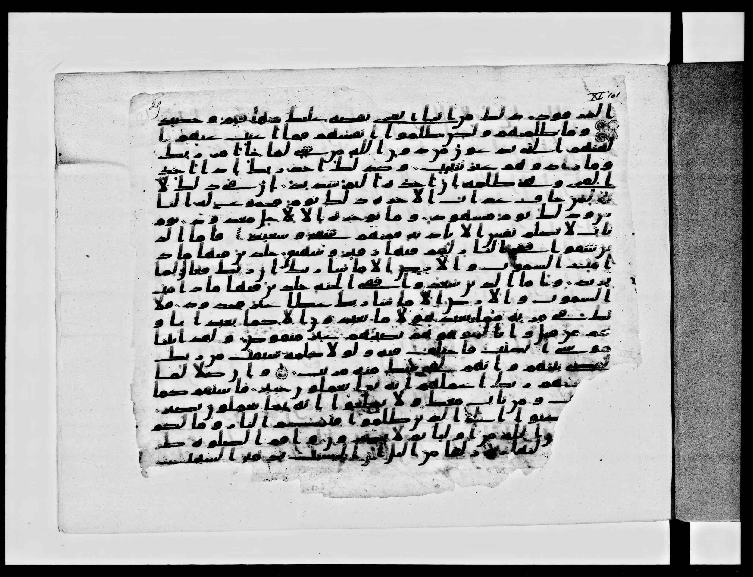 Paris, Bibliothèque nationale de France, Arabe 334 (c) (Scan 1), in Ḥiǧāzī IV script, showing Surah 11:113 from 8th to 9th Century AD found in Fustat (Old Cairo), Egypt, currently housed at Bibliothèque nationale de France, Paris