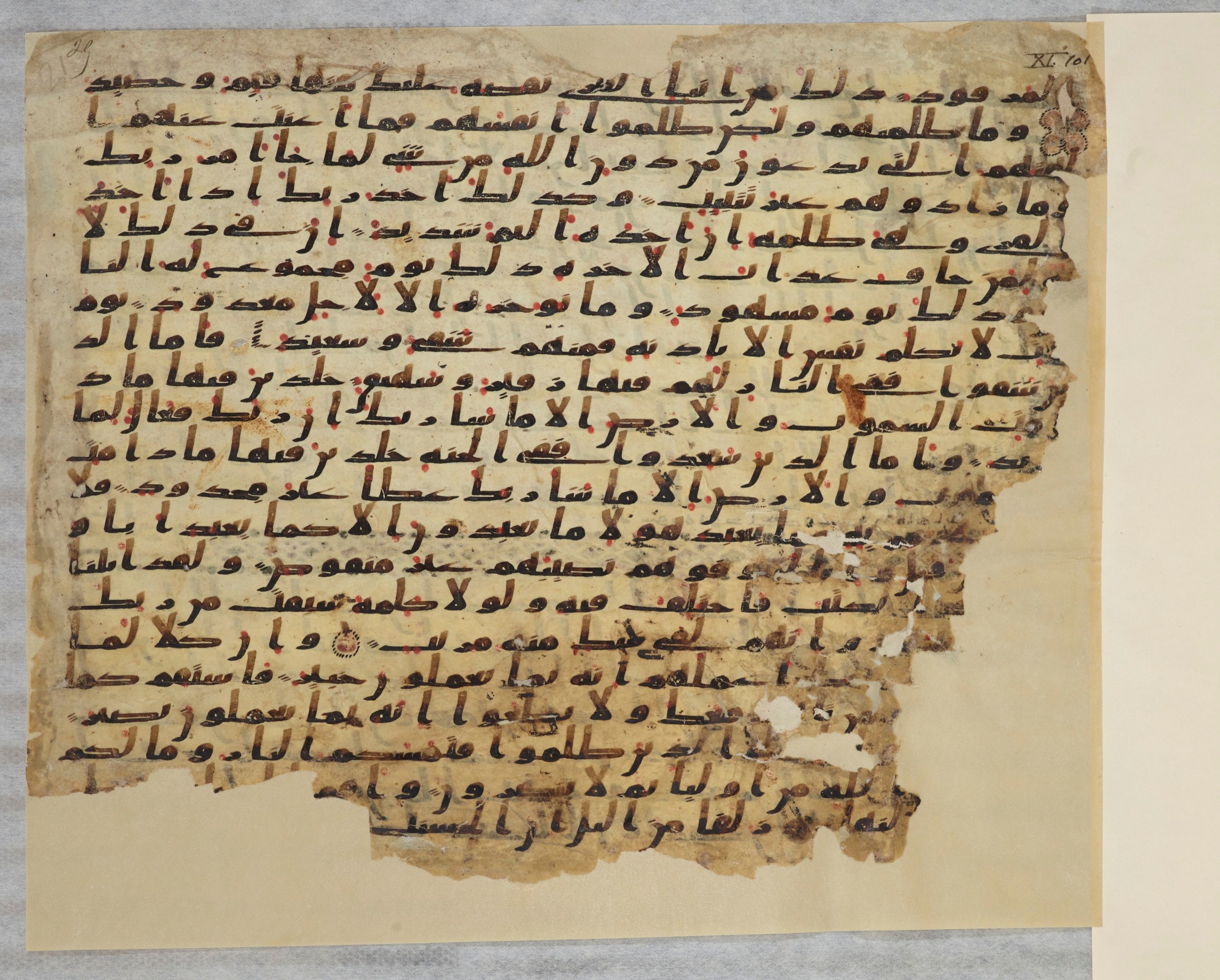 Paris, Bibliothèque nationale de France, Arabe 334 (c) (Scan 2), in Ḥiǧāzī IV script, showing Surah 11:113 from 8th to 9th Century AD found in Fustat (Old Cairo), Egypt, currently housed at Bibliothèque nationale de France, Paris