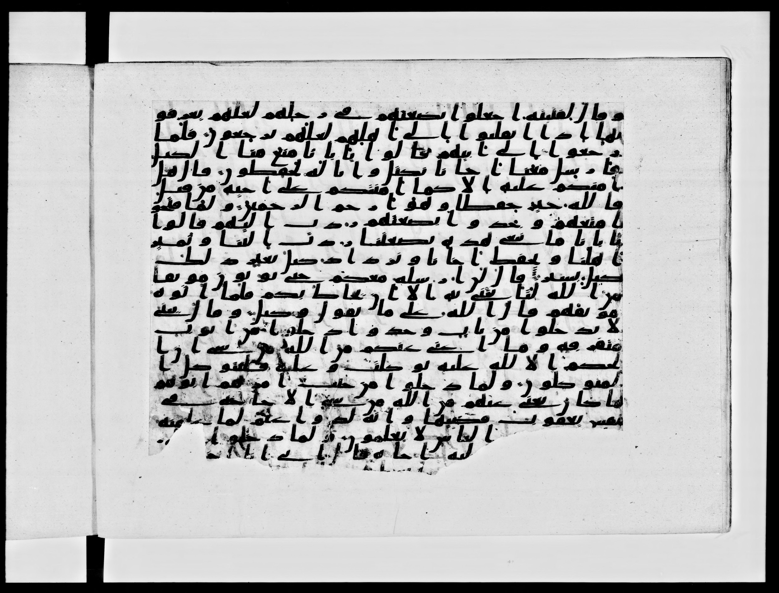 Paris, Bibliothèque nationale de France, Arabe 334 (c) (Scan 1), in Ḥiǧāzī IV script, showing Surah 12:64 from 8th to 9th Century AD found in Fustat (Old Cairo), Egypt, currently housed at Bibliothèque nationale de France, Paris