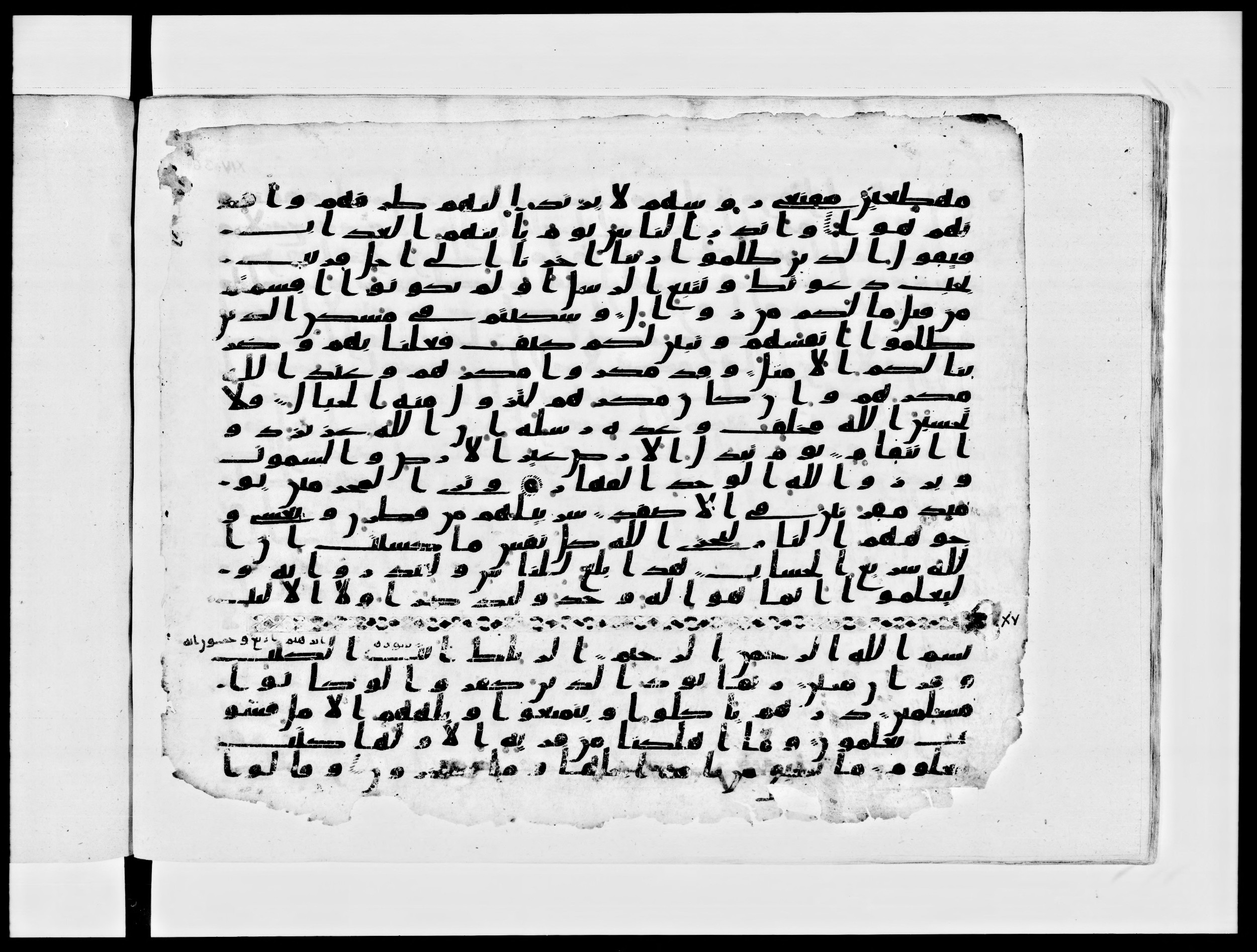 Paris, Bibliothèque nationale de France, Arabe 334 (c) (Scan 1), in Ḥiǧāzī IV script, showing Surah 14:49 from 8th to 9th Century AD found in Fustat (Old Cairo), Egypt, currently housed at Bibliothèque nationale de France, Paris