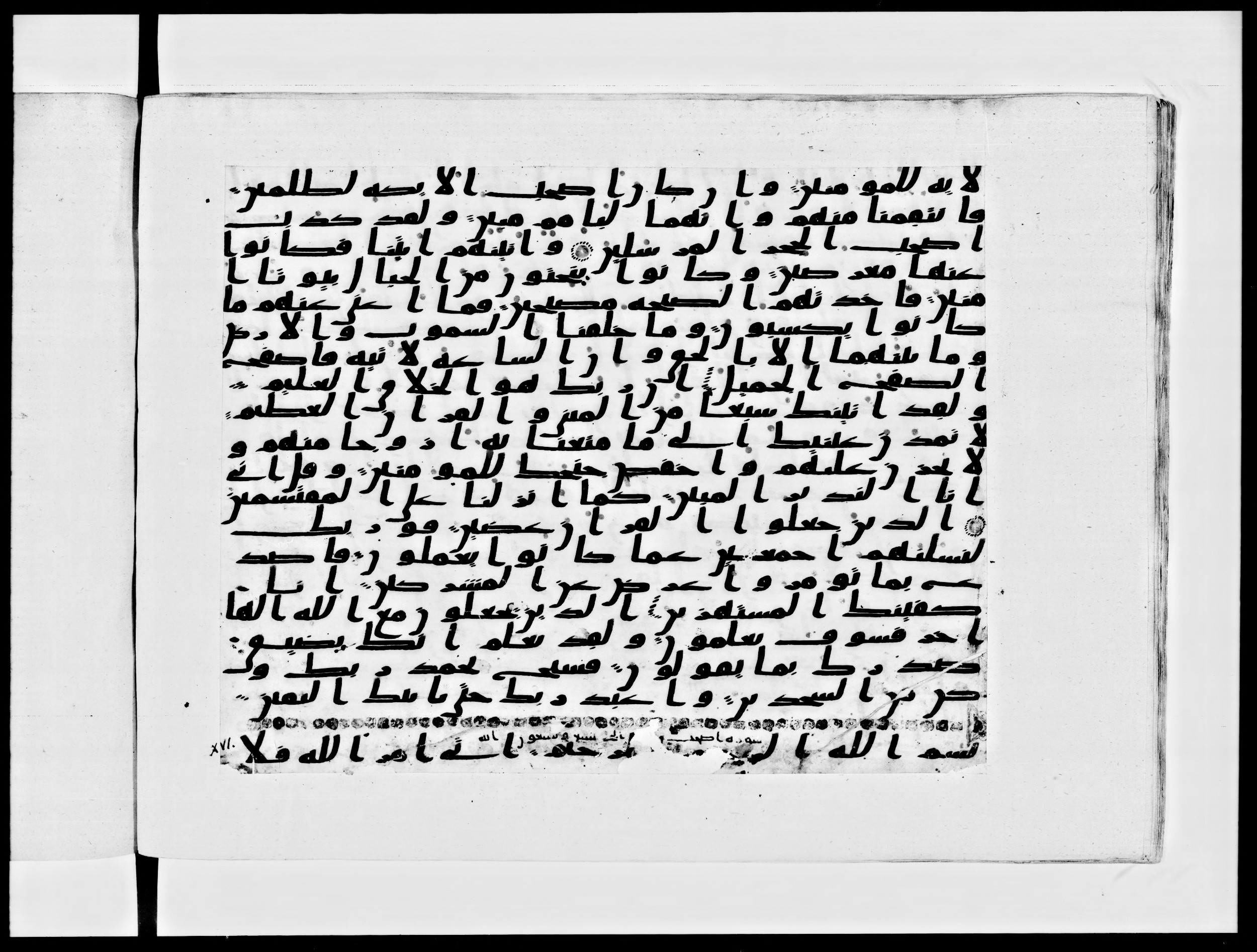 Paris, Bibliothèque nationale de France, Arabe 334 (c) (Scan 1), in Ḥiǧāzī IV script, showing Surah 16:1 from 8th to 9th Century AD found in Fustat (Old Cairo), Egypt, currently housed at Bibliothèque nationale de France, Paris