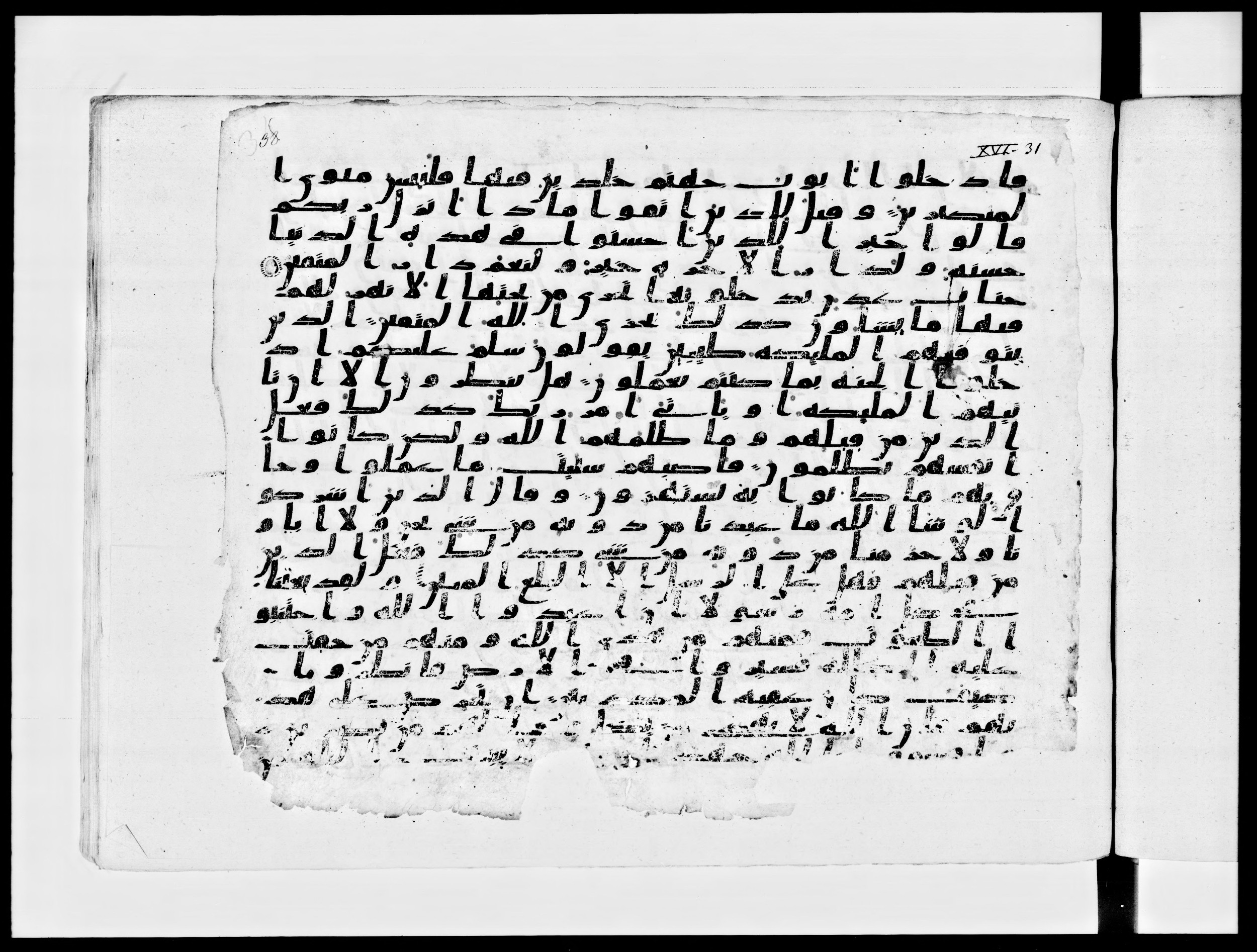 Paris, Bibliothèque nationale de France, Arabe 334 (c) (Scan 1), in Ḥiǧāzī IV script, showing Surah 16:33 from 8th to 9th Century AD found in Fustat (Old Cairo), Egypt, currently housed at Bibliothèque nationale de France, Paris