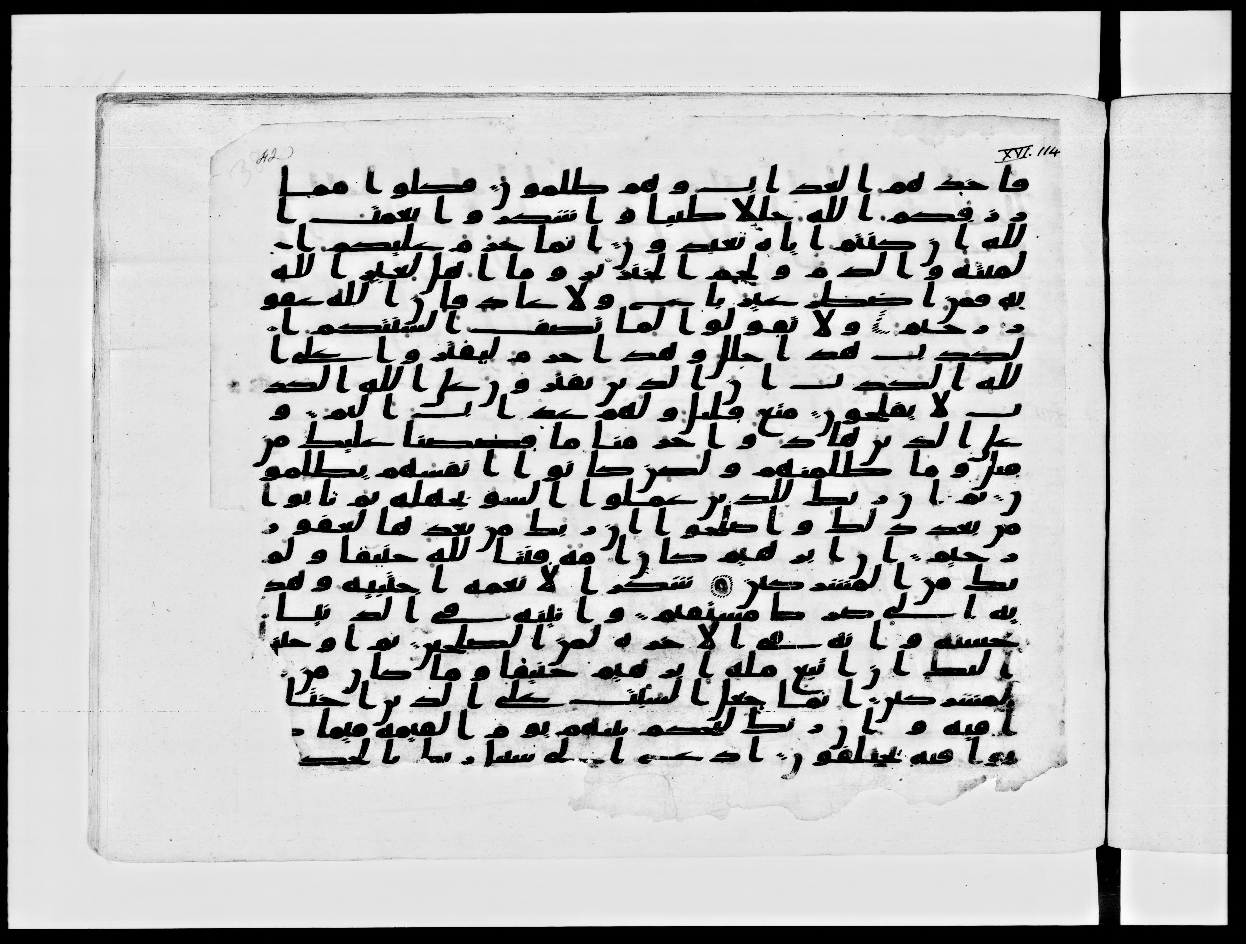 Paris, Bibliothèque nationale de France, Arabe 334 (c) (Scan 1), in Ḥiǧāzī IV script, showing Surah 16:113 from 8th to 9th Century AD found in Fustat (Old Cairo), Egypt, currently housed at Bibliothèque nationale de France, Paris