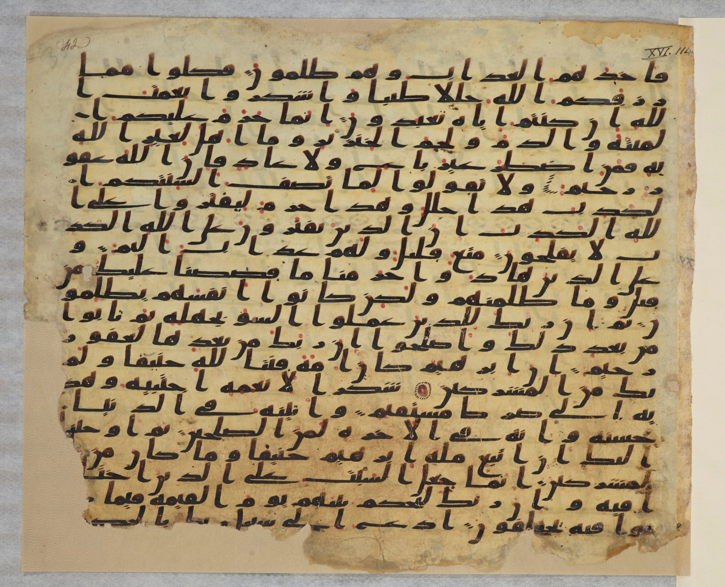 Paris, Bibliothèque nationale de France, Arabe 334 (c) (Scan 2), in Ḥiǧāzī IV script, showing Surah 16:113 from 8th to 9th Century AD found in Fustat (Old Cairo), Egypt, currently housed at Bibliothèque nationale de France, Paris
