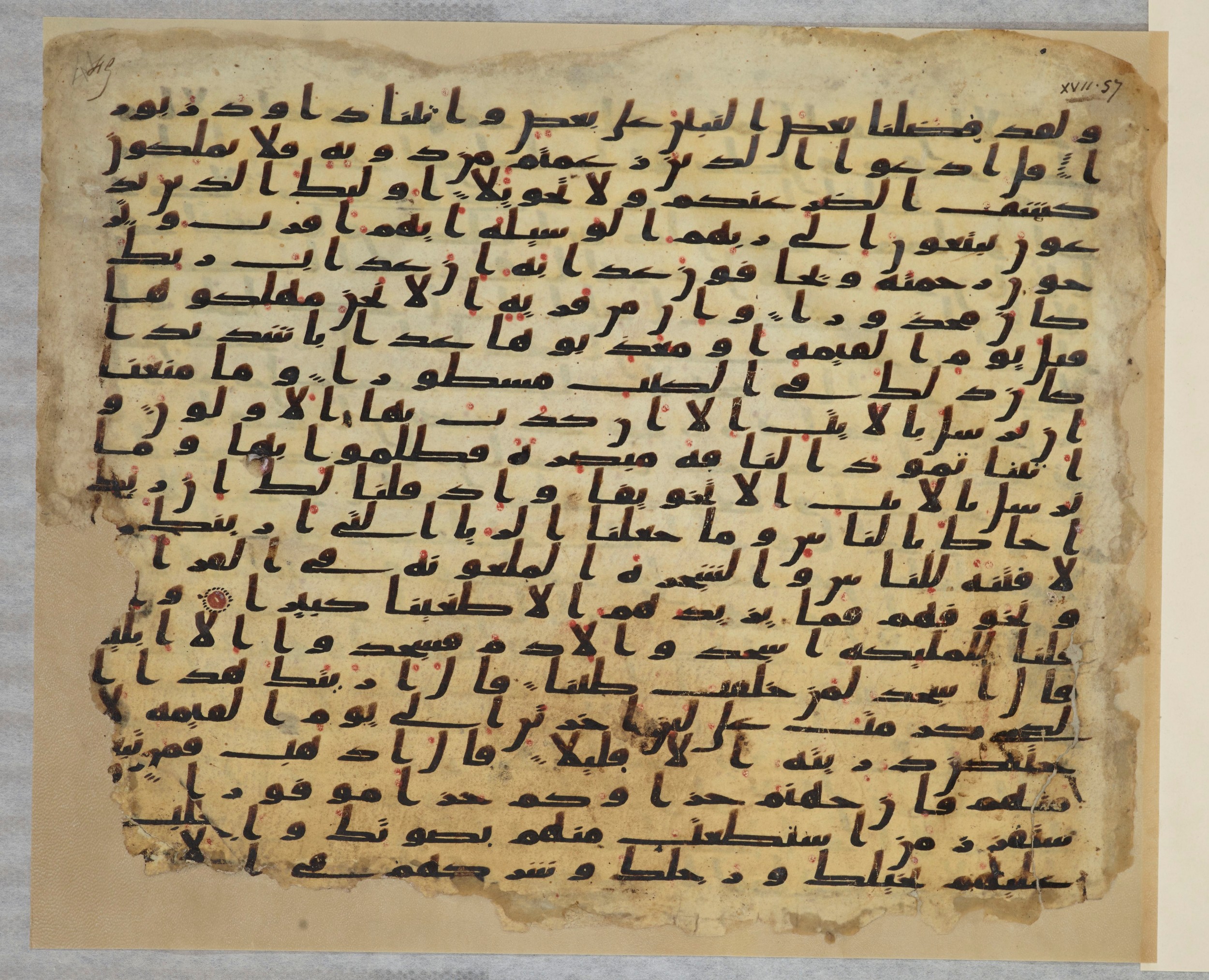 Paris, Bibliothèque nationale de France, Arabe 334 (c) (Scan 2), in Ḥiǧāzī IV script, showing Surah 17:64 from 8th to 9th Century AD found in Fustat (Old Cairo), Egypt, currently housed at Bibliothèque nationale de France, Paris