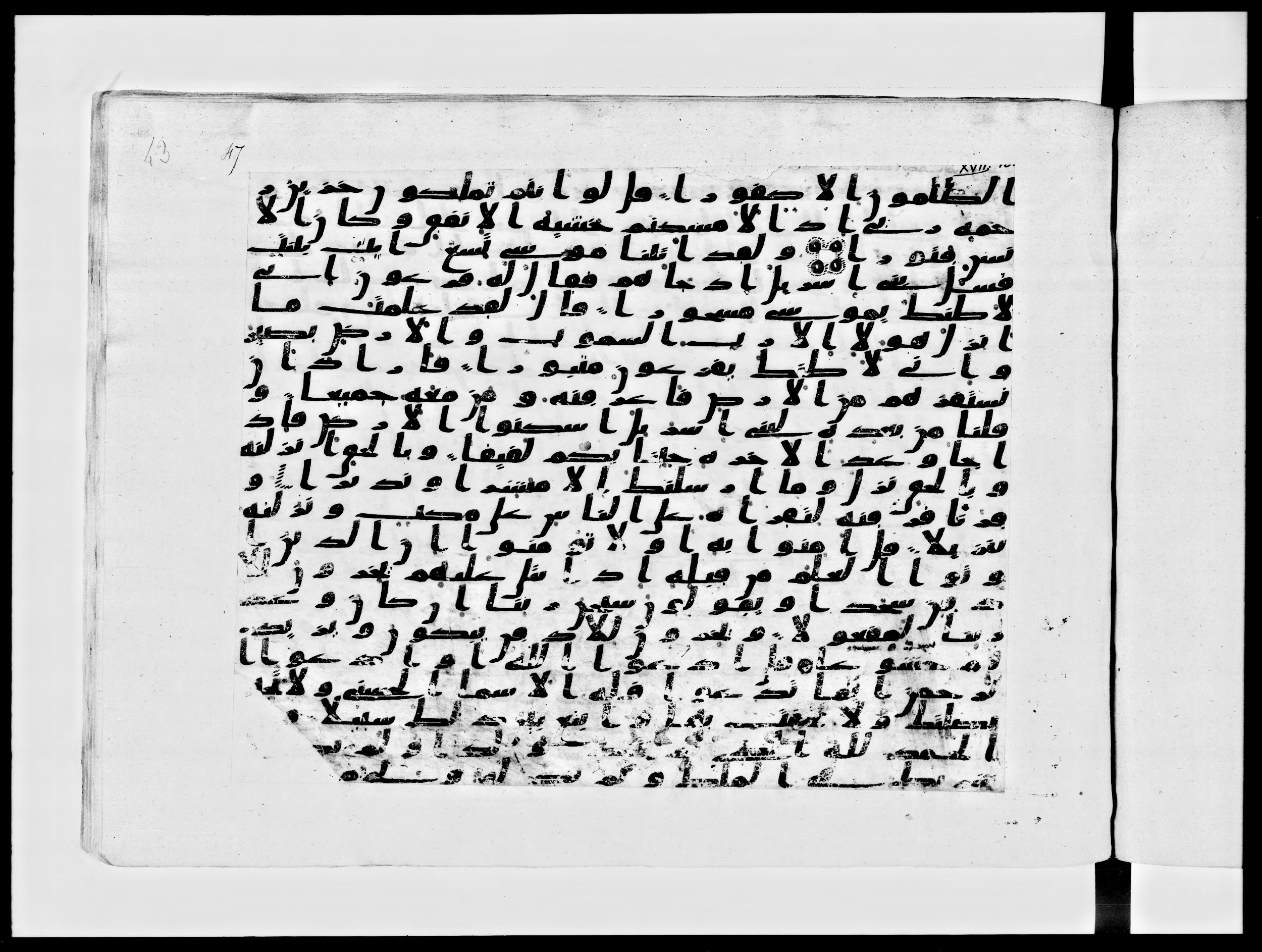 Paris, Bibliothèque nationale de France, Arabe 334 (c) (Scan 1), in Ḥiǧāzī IV script, showing Surah 17:103 from 8th to 9th Century AD found in Fustat (Old Cairo), Egypt, currently housed at Bibliothèque nationale de France, Paris