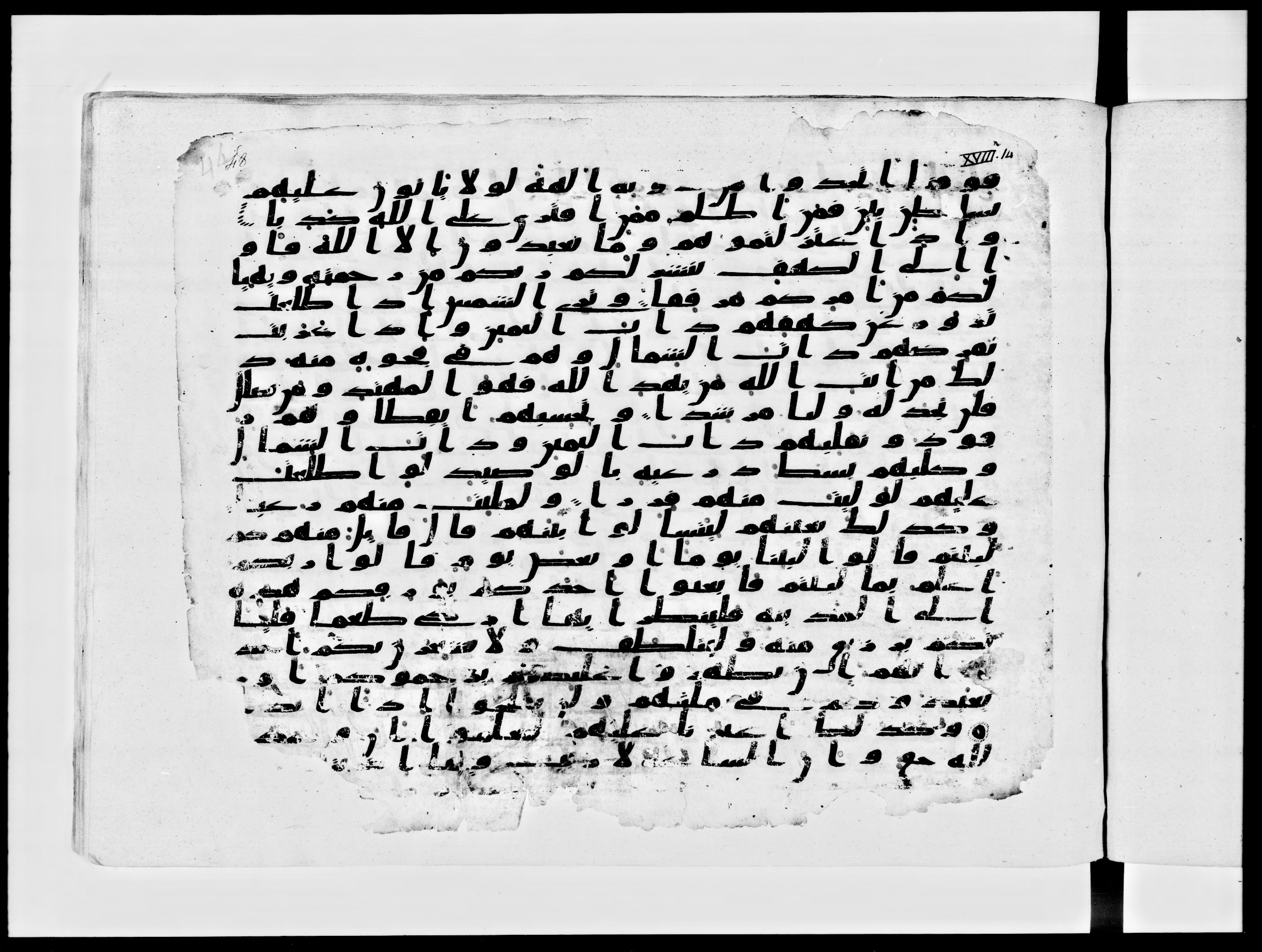 Paris, Bibliothèque nationale de France, Arabe 334 (c) (Scan 1), in Ḥiǧāzī IV script, showing Surah 18:21 from 8th to 9th Century AD found in Fustat (Old Cairo), Egypt, currently housed at Bibliothèque nationale de France, Paris