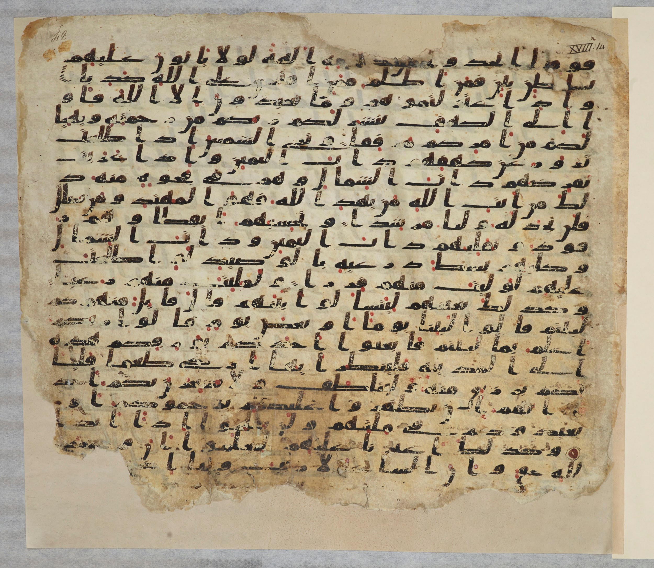 Paris, Bibliothèque nationale de France, Arabe 334 (c) (Scan 2), in Ḥiǧāzī IV script, showing Surah 18:21 from 8th to 9th Century AD found in Fustat (Old Cairo), Egypt, currently housed at Bibliothèque nationale de France, Paris