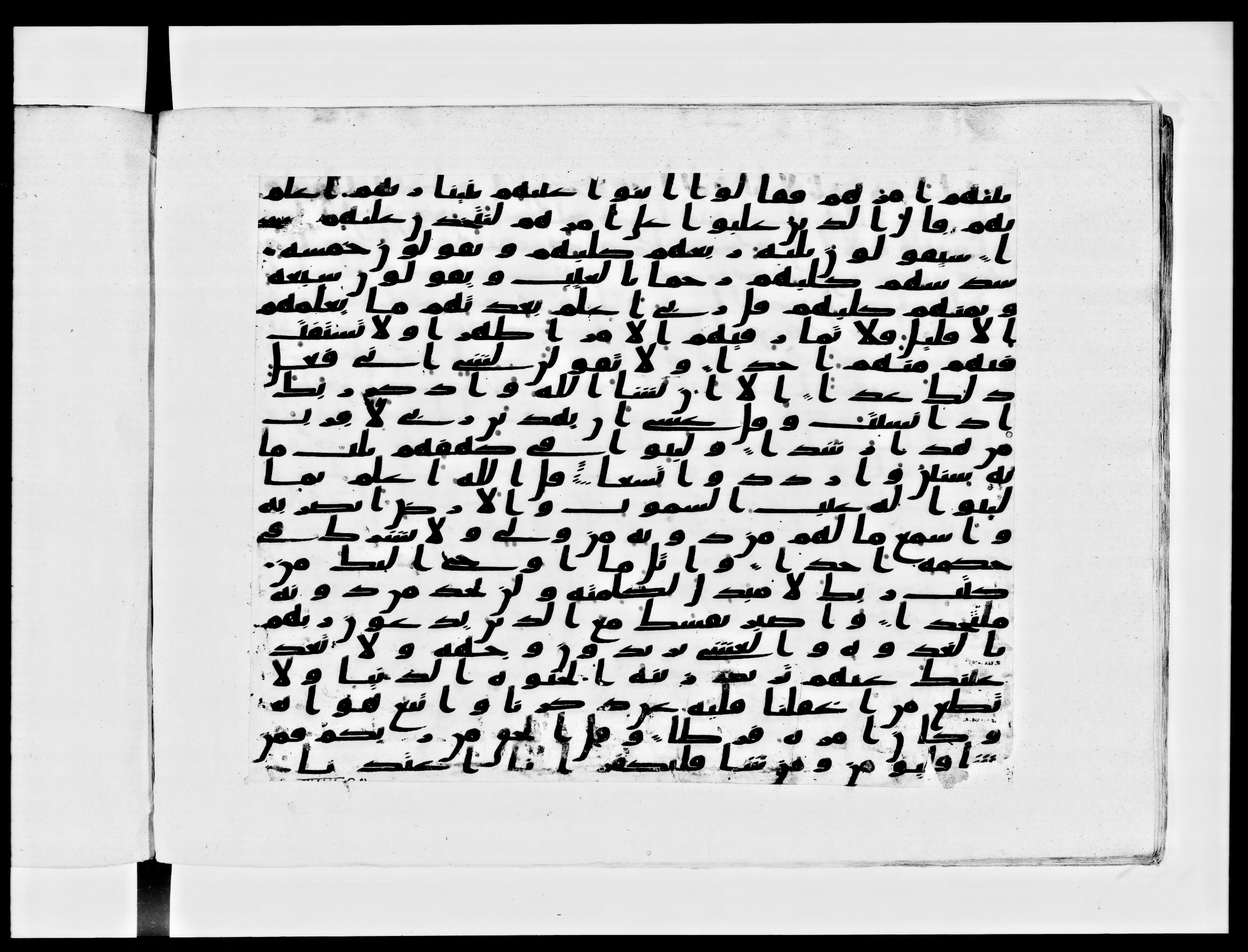 Paris, Bibliothèque nationale de France, Arabe 334 (c) (Scan 3), in Ḥiǧāzī IV script, showing Surah 18:21 from 8th to 9th Century AD found in Fustat (Old Cairo), Egypt, currently housed at Bibliothèque nationale de France, Paris