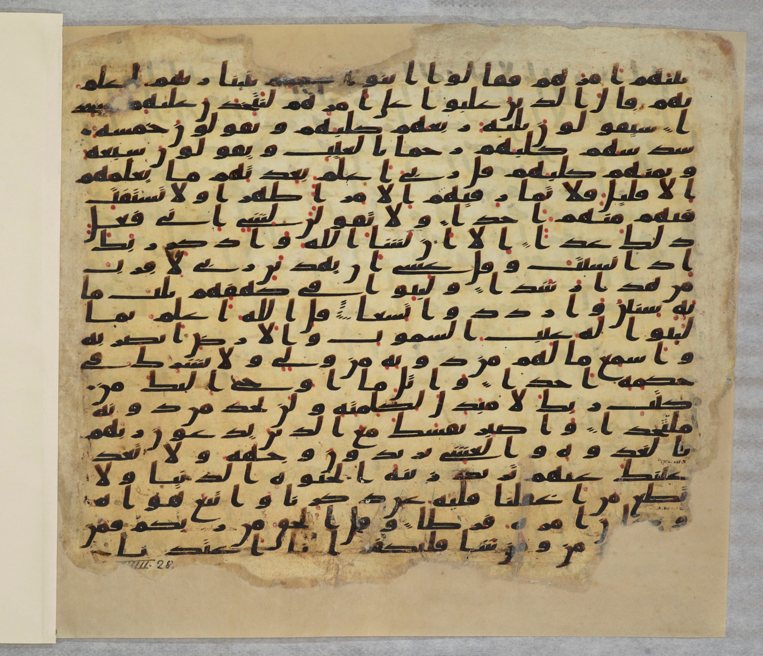 Paris, Bibliothèque nationale de France, Arabe 334 (c) (Scan 4), in Ḥiǧāzī IV script, showing Surah 18:21 from 8th to 9th Century AD found in Fustat (Old Cairo), Egypt, currently housed at Bibliothèque nationale de France, Paris
