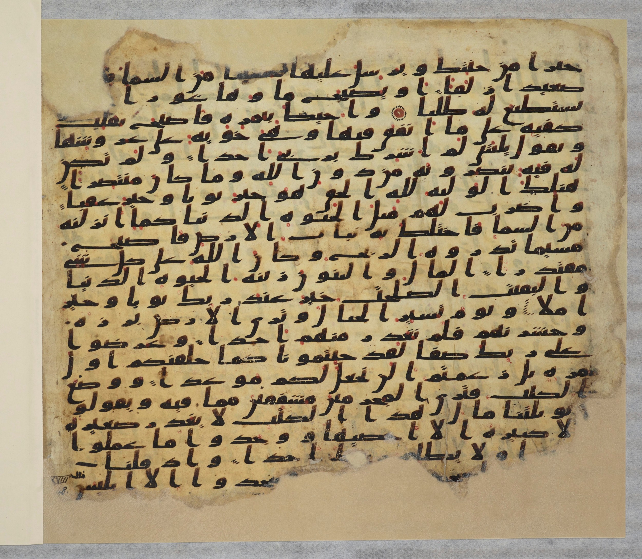 Paris, Bibliothèque nationale de France, Arabe 334 (c) (Scan 2), in Ḥiǧāzī IV script, showing Surah 18:49 from 8th to 9th Century AD found in Fustat (Old Cairo), Egypt, currently housed at Bibliothèque nationale de France, Paris