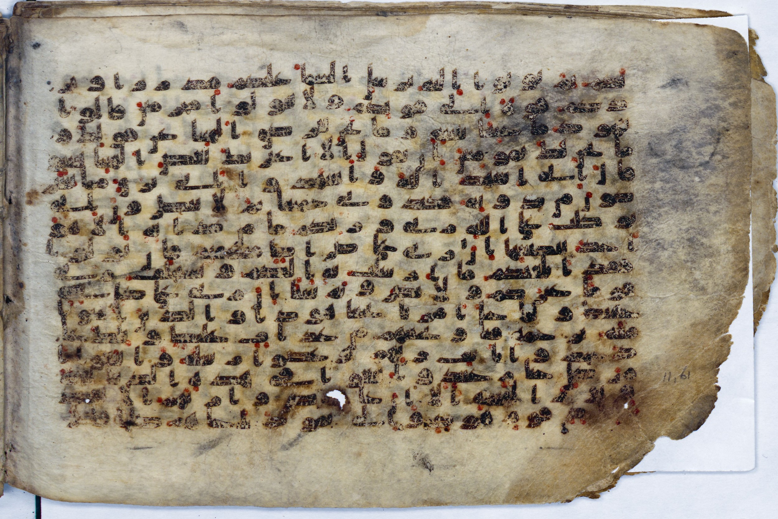 Leiden, Universiteitsbibliotheek Leiden, Or. 6814, in kūfī B.II script, showing Surah 11:59 from 8th to 9th Century AD found in Unknown (Purchased in Oegstgeest, Netherlands), currently housed at Universiteitsbibliotheek Leiden, Leiden