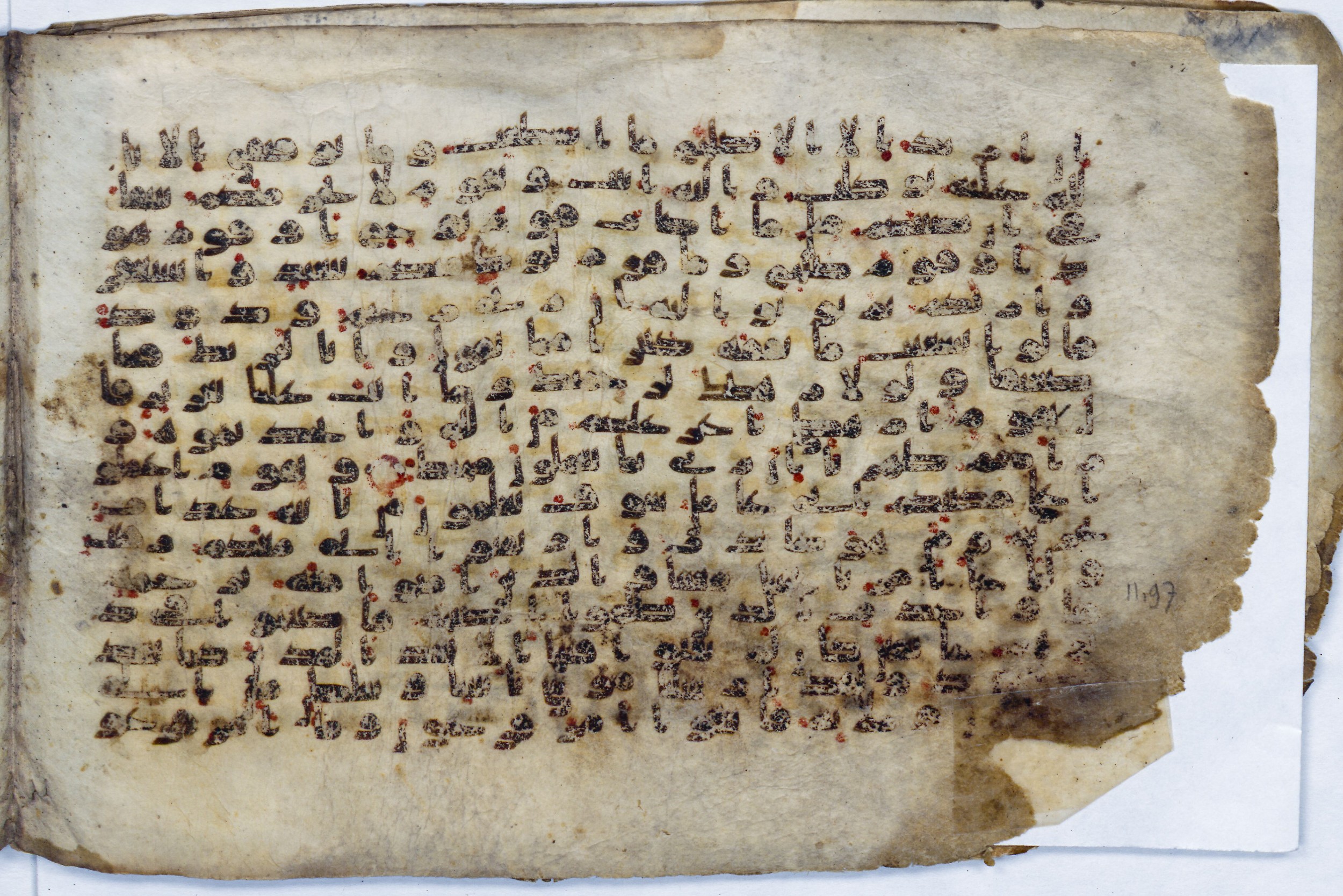 Leiden, Universiteitsbibliotheek Leiden, Or. 6814, in kūfī B.II script, showing Surah 11:89 from 8th to 9th Century AD found in Unknown (Purchased in Oegstgeest, Netherlands), currently housed at Universiteitsbibliotheek Leiden, Leiden