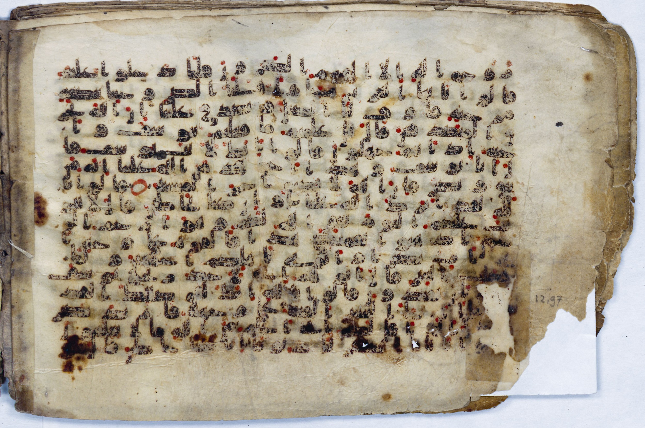 Leiden, Universiteitsbibliotheek Leiden, Or. 6814, in kūfī B.II script, showing Surah 12:97 from 8th to 9th Century AD found in Unknown (Purchased in Oegstgeest, Netherlands), currently housed at Universiteitsbibliotheek Leiden, Leiden