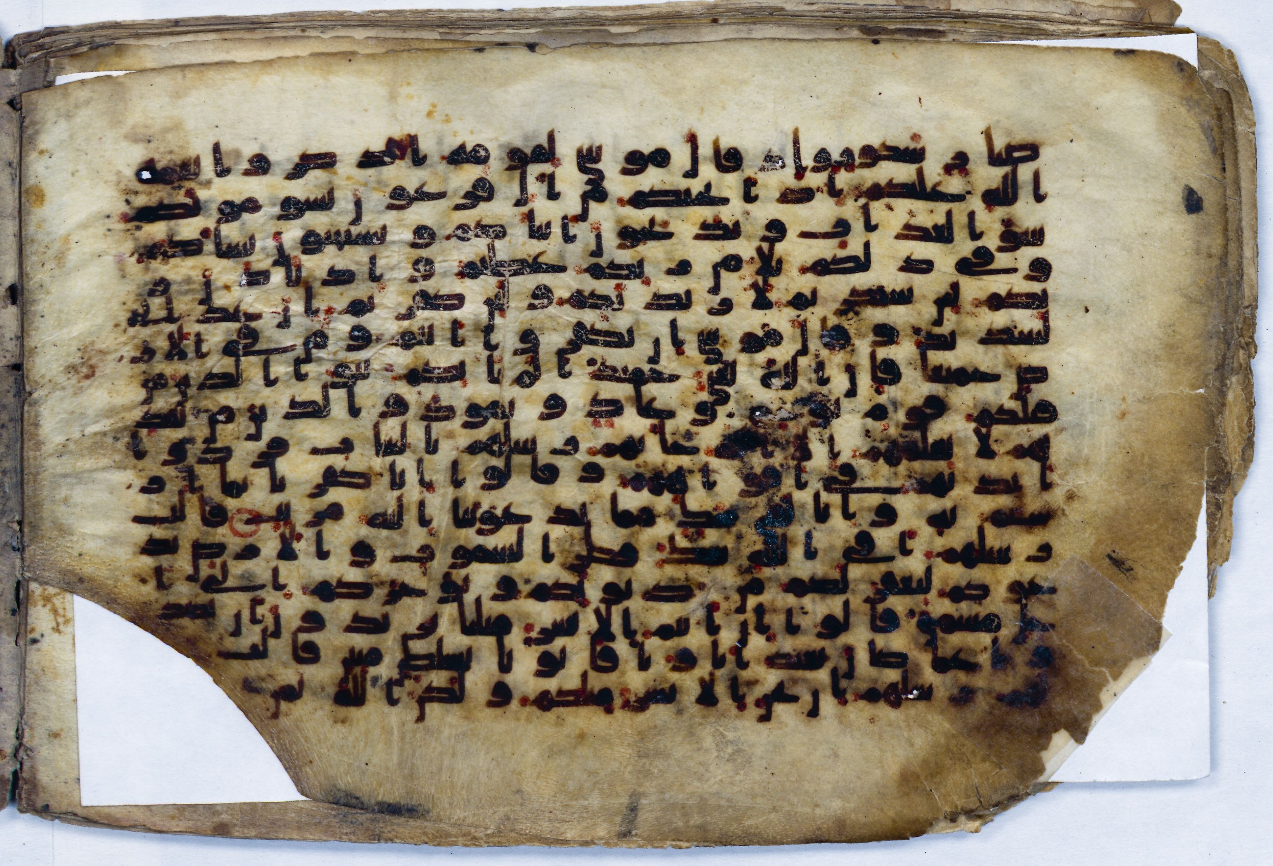 Leiden, Universiteitsbibliotheek Leiden, Or. 6814, in kūfī B.II script, showing Surah 14:7 from 8th to 9th Century AD found in Unknown (Purchased in Oegstgeest, Netherlands), currently housed at Universiteitsbibliotheek Leiden, Leiden