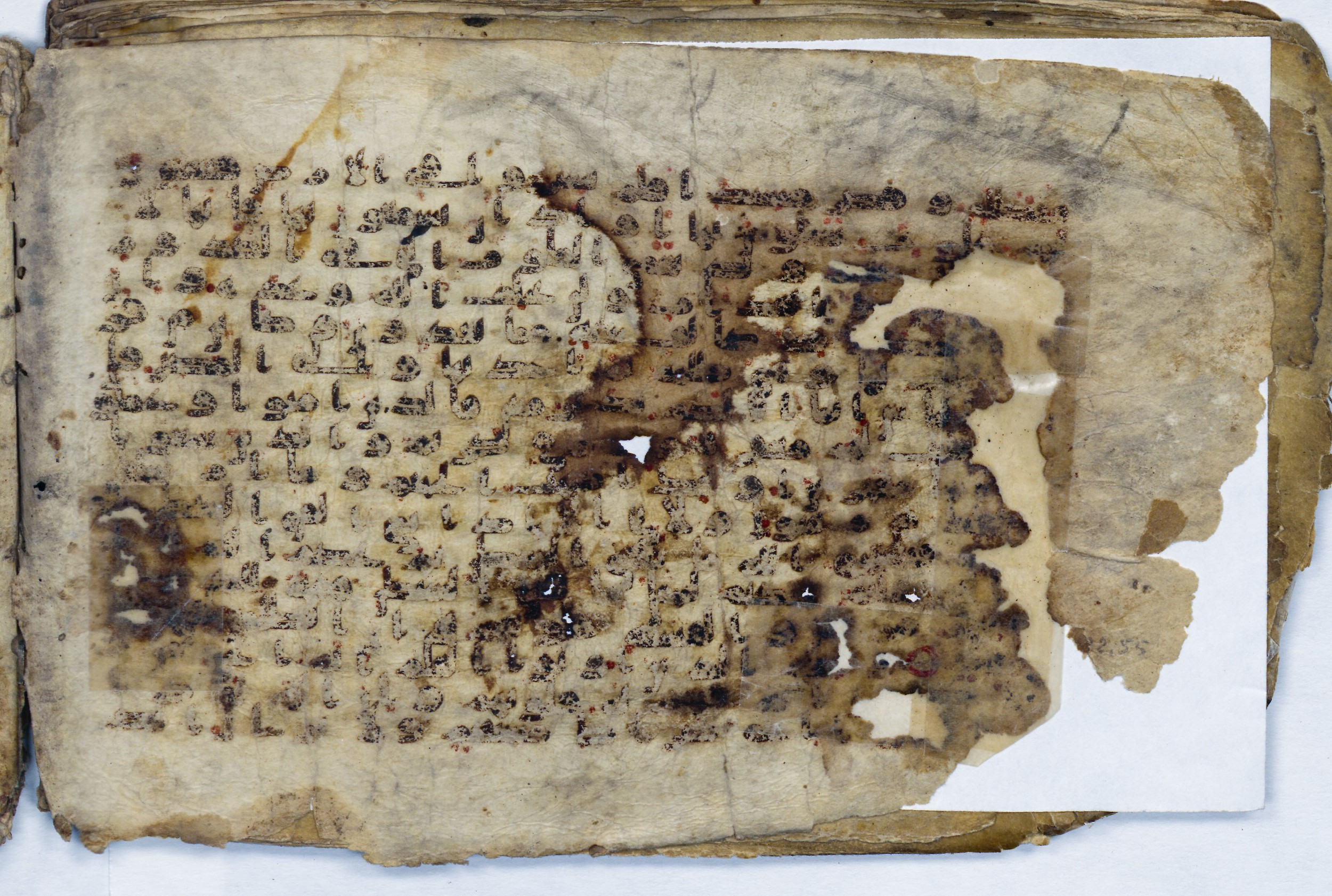 Leiden, Universiteitsbibliotheek Leiden, Or. 6814, in kūfī B.II script, showing Surah 22:49 from 8th to 9th Century AD found in Unknown (Purchased in Oegstgeest, Netherlands), currently housed at Universiteitsbibliotheek Leiden, Leiden