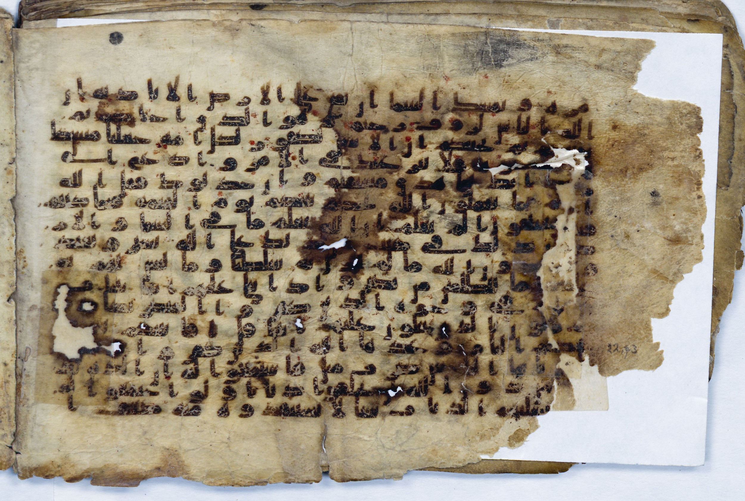 Leiden, Universiteitsbibliotheek Leiden, Or. 6814, in kūfī B.II script, showing Surah 22:71 from 8th to 9th Century AD found in Unknown (Purchased in Oegstgeest, Netherlands), currently housed at Universiteitsbibliotheek Leiden, Leiden