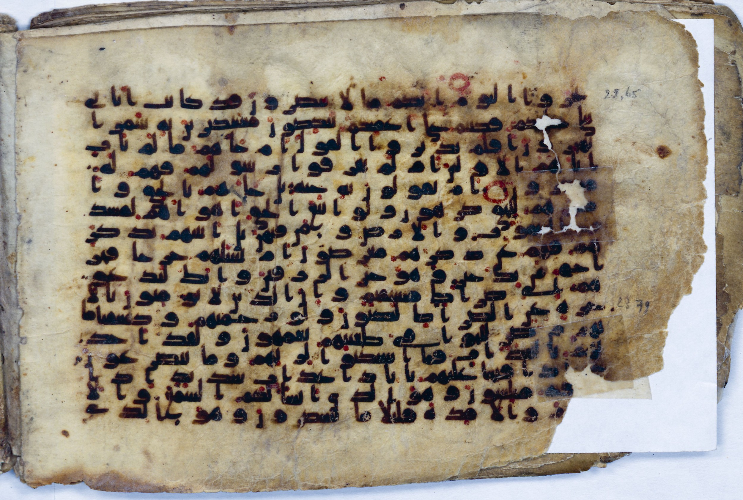 Leiden, Universiteitsbibliotheek Leiden, Or. 6814, in kūfī B.II script, showing Surah 23:71 from 8th to 9th Century AD found in Unknown (Purchased in Oegstgeest, Netherlands), currently housed at Universiteitsbibliotheek Leiden, Leiden