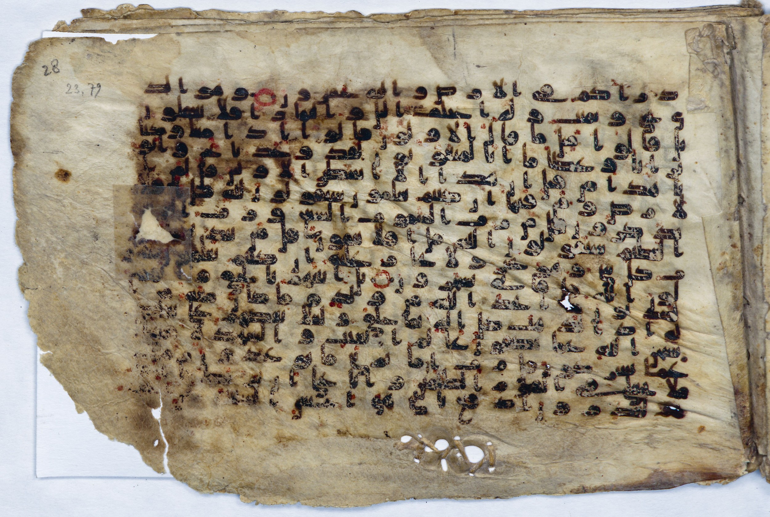 Leiden, Universiteitsbibliotheek Leiden, Or. 6814, in kūfī B.II script, showing Surah 23:80 from 8th to 9th Century AD found in Unknown (Purchased in Oegstgeest, Netherlands), currently housed at Universiteitsbibliotheek Leiden, Leiden