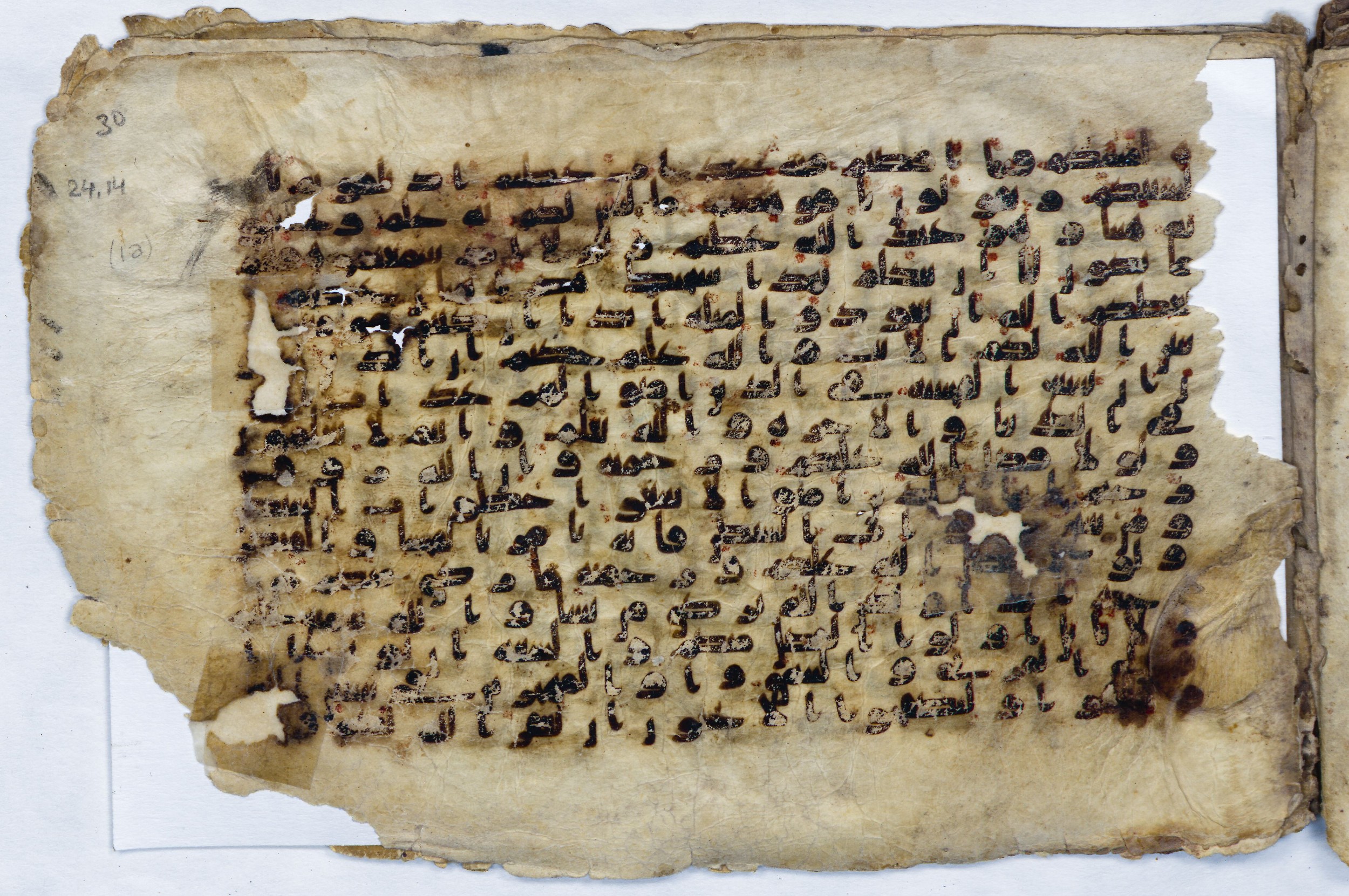 Leiden, Universiteitsbibliotheek Leiden, Or. 6814 (Scan 1), in kūfī B.II script, showing Surah 24:22 from 8th to 9th Century AD found in Unknown (Purchased in Oegstgeest, Netherlands), currently housed at Universiteitsbibliotheek Leiden, Leiden