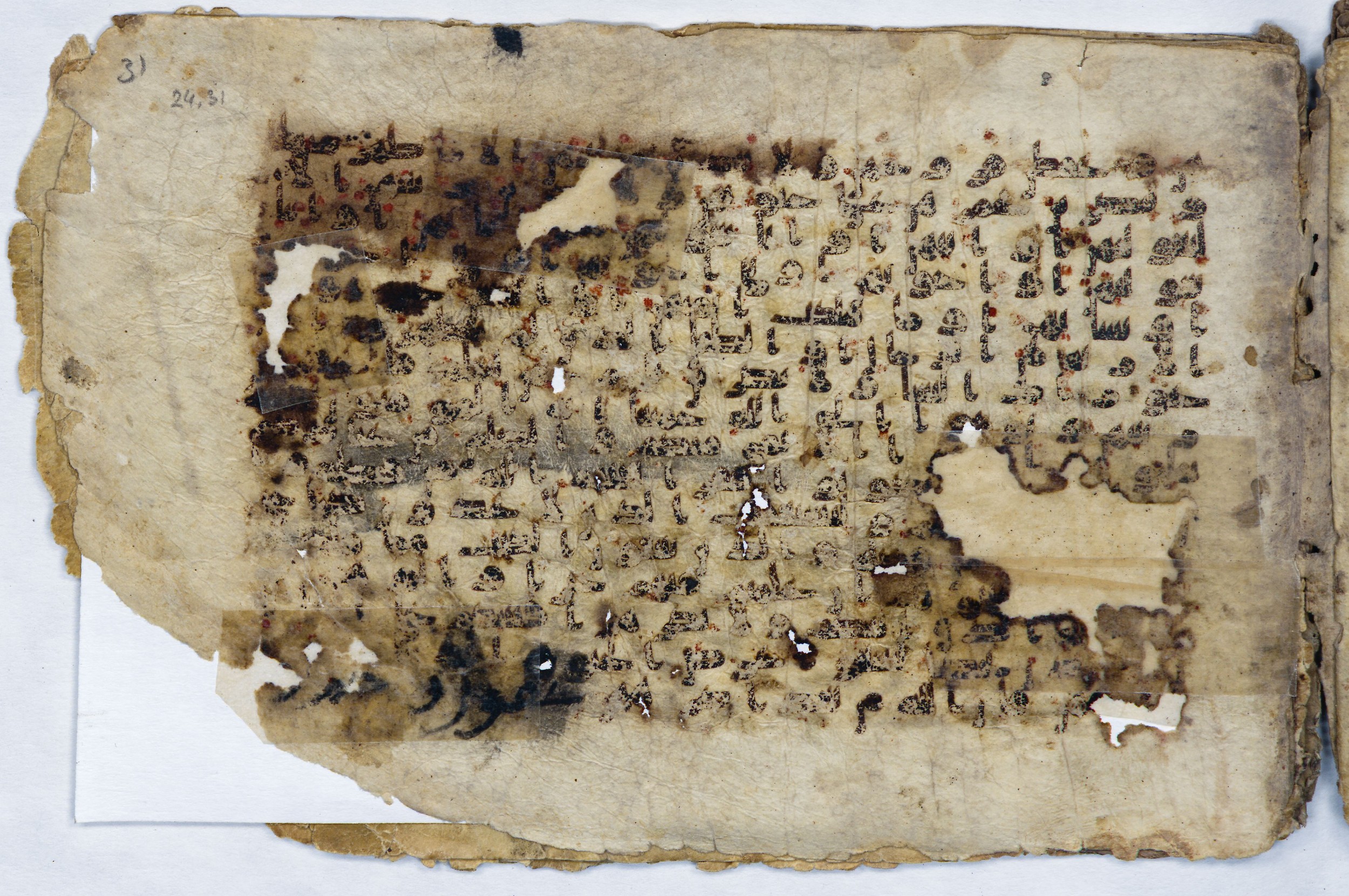 Leiden, Universiteitsbibliotheek Leiden, Or. 6814, in kūfī B.II script, showing Surah 24:32 from 8th to 9th Century AD found in Unknown (Purchased in Oegstgeest, Netherlands), currently housed at Universiteitsbibliotheek Leiden, Leiden