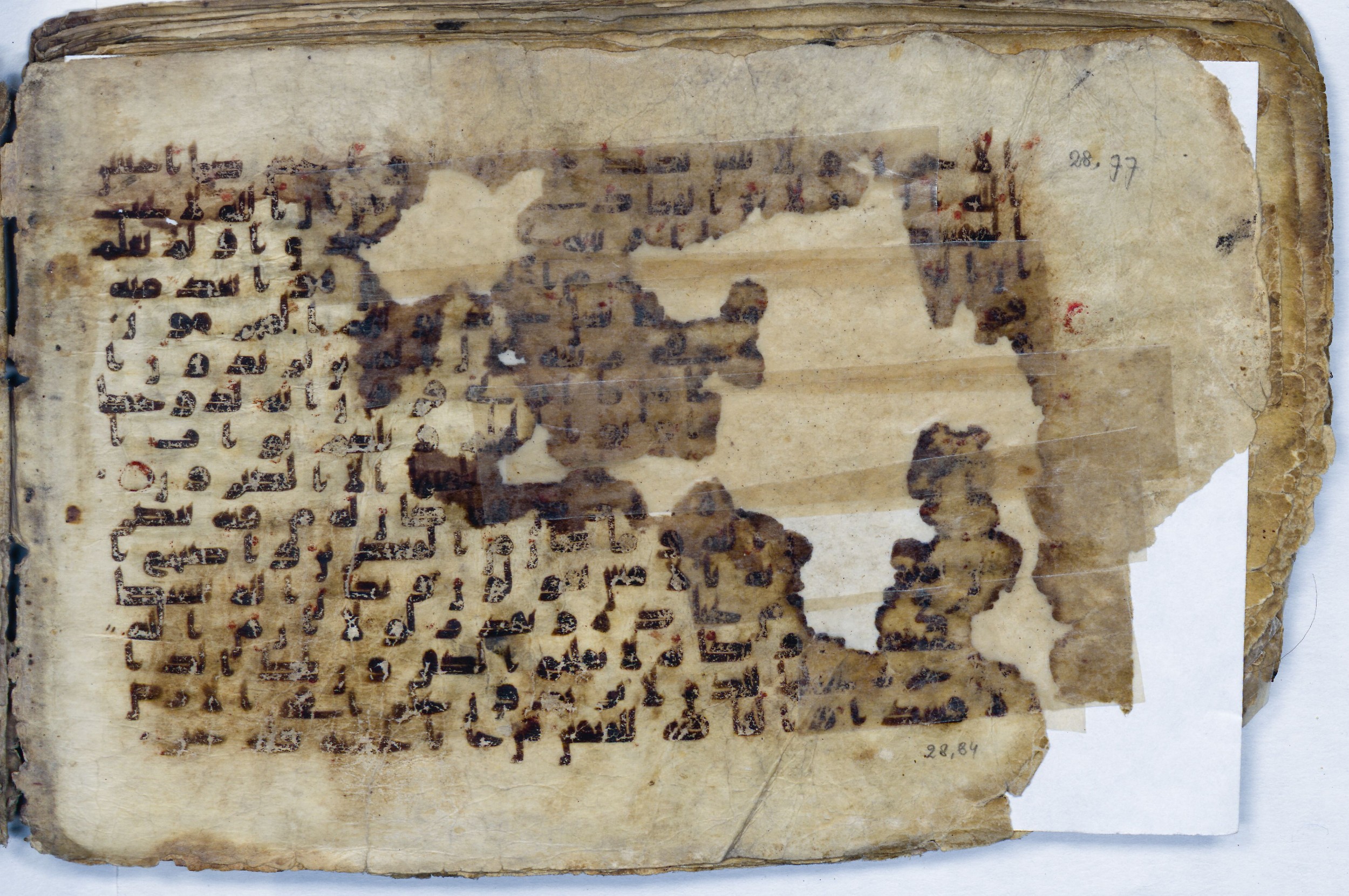 Leiden, Universiteitsbibliotheek Leiden, Or. 6814, in kūfī B.II script, showing Surah 28:83 from 8th to 9th Century AD found in Unknown (Purchased in Oegstgeest, Netherlands), currently housed at Universiteitsbibliotheek Leiden, Leiden