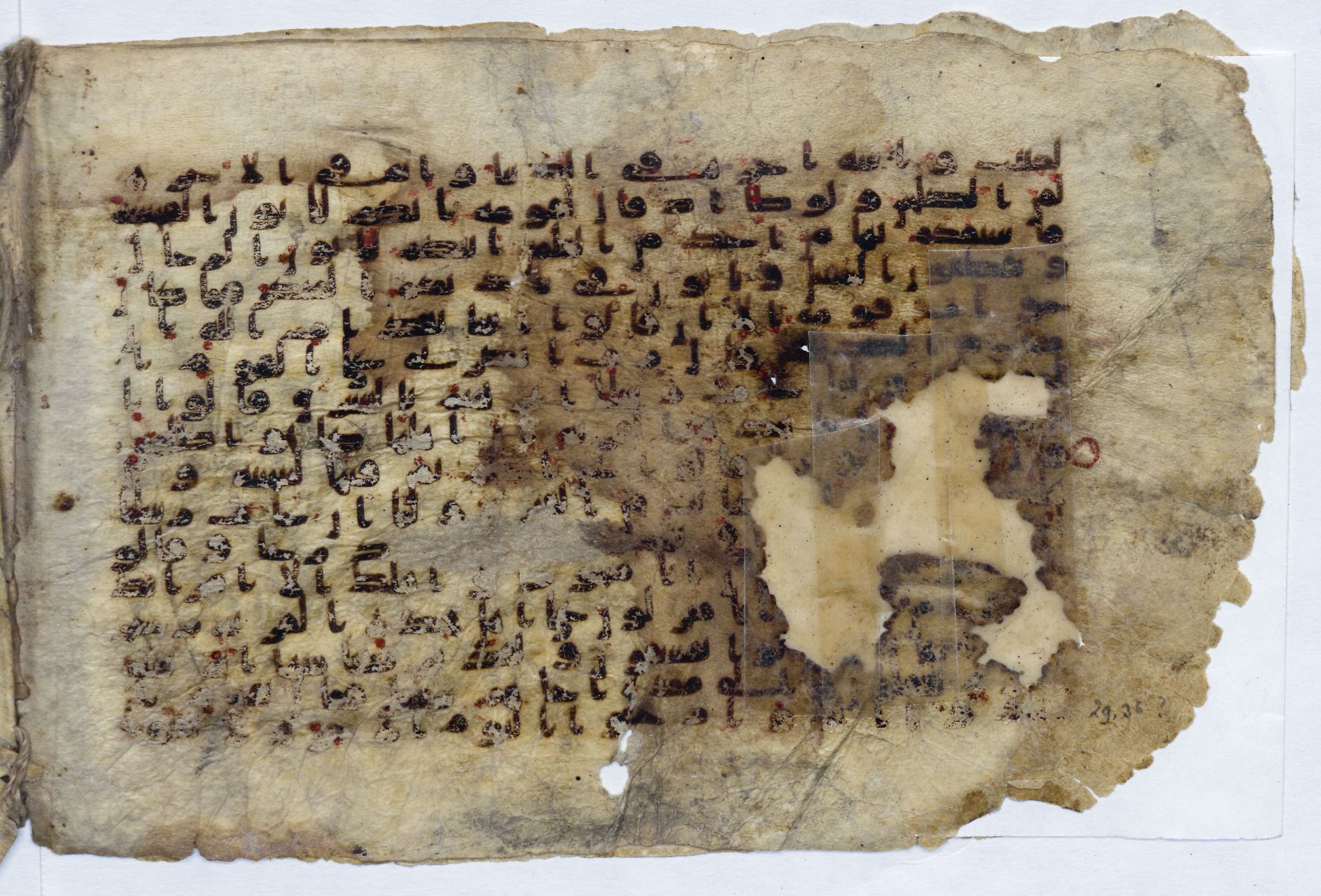 Leiden, Universiteitsbibliotheek Leiden, Or. 6814, in kūfī B.II script, showing Surah 29:32 from 8th to 9th Century AD found in Unknown (Purchased in Oegstgeest, Netherlands), currently housed at Universiteitsbibliotheek Leiden, Leiden