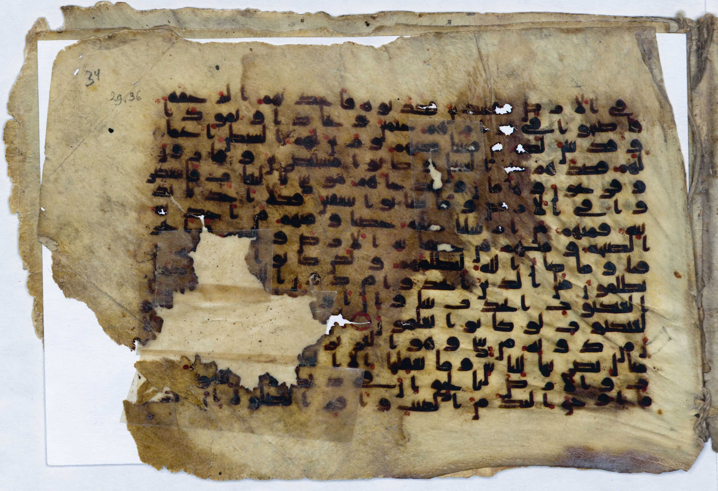 Leiden, Universiteitsbibliotheek Leiden, Or. 6814, in kūfī B.II script, showing Surah 29:39 from 8th to 9th Century AD found in Unknown (Purchased in Oegstgeest, Netherlands), currently housed at Universiteitsbibliotheek Leiden, Leiden