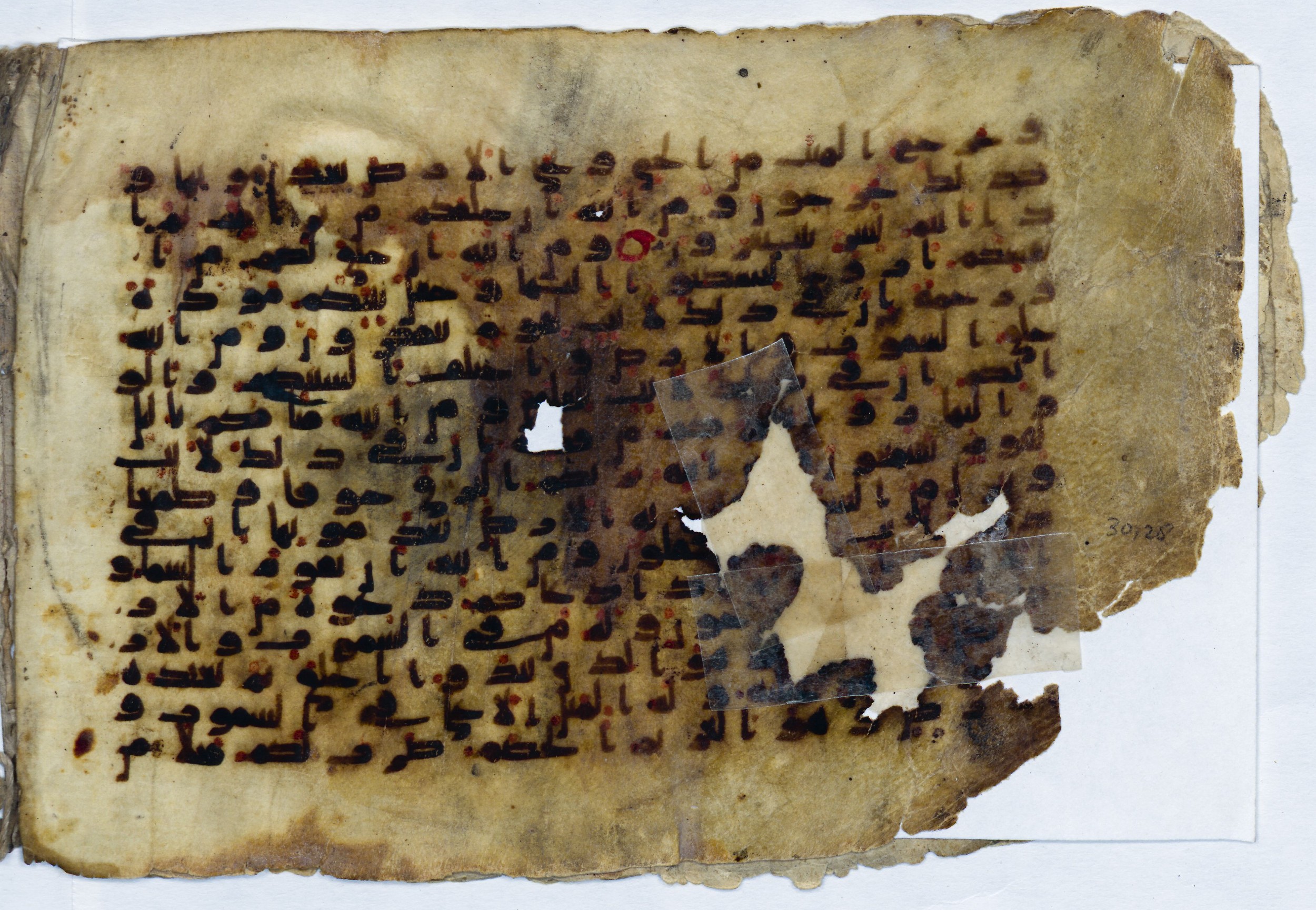 Leiden, Universiteitsbibliotheek Leiden, Or. 6814, in kūfī B.II script, showing Surah 30:22 from 8th to 9th Century AD found in Unknown (Purchased in Oegstgeest, Netherlands), currently housed at Universiteitsbibliotheek Leiden, Leiden