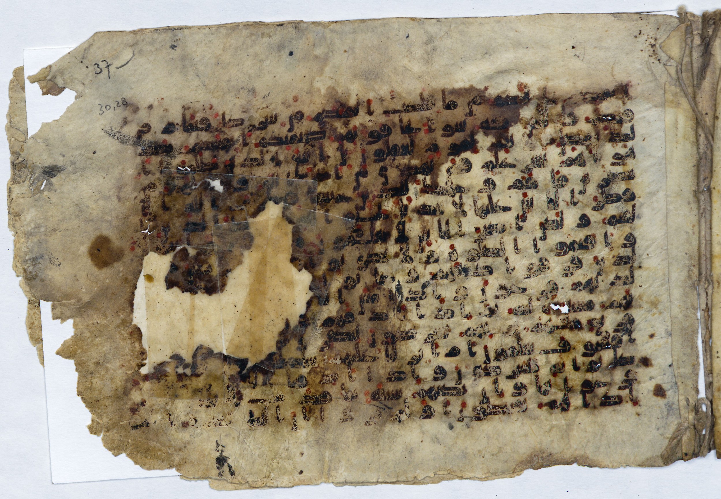 Leiden, Universiteitsbibliotheek Leiden, Or. 6814, in kūfī B.II script, showing Surah 30:32 from 8th to 9th Century AD found in Unknown (Purchased in Oegstgeest, Netherlands), currently housed at Universiteitsbibliotheek Leiden, Leiden