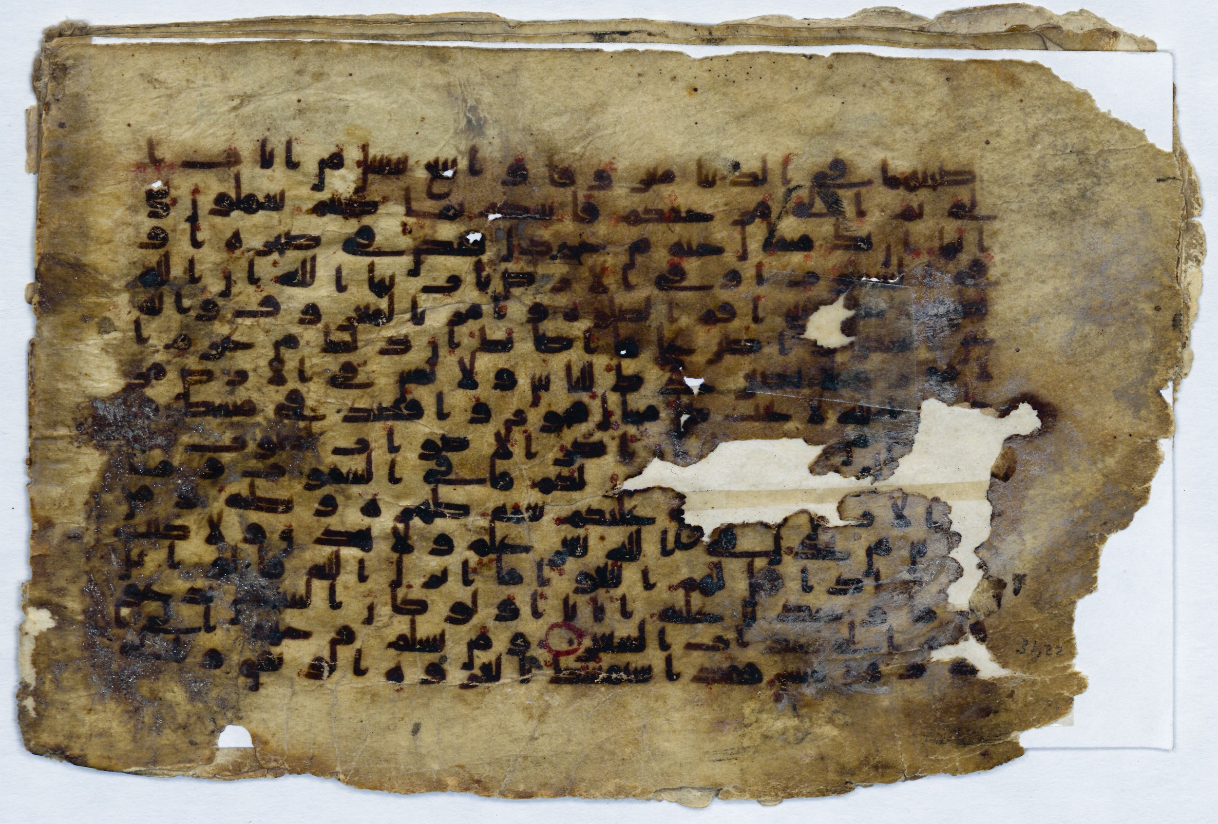 Leiden, Universiteitsbibliotheek Leiden, Or. 6814, in kūfī B.II script, showing Surah 31:21 from 8th to 9th Century AD found in Unknown (Purchased in Oegstgeest, Netherlands), currently housed at Universiteitsbibliotheek Leiden, Leiden