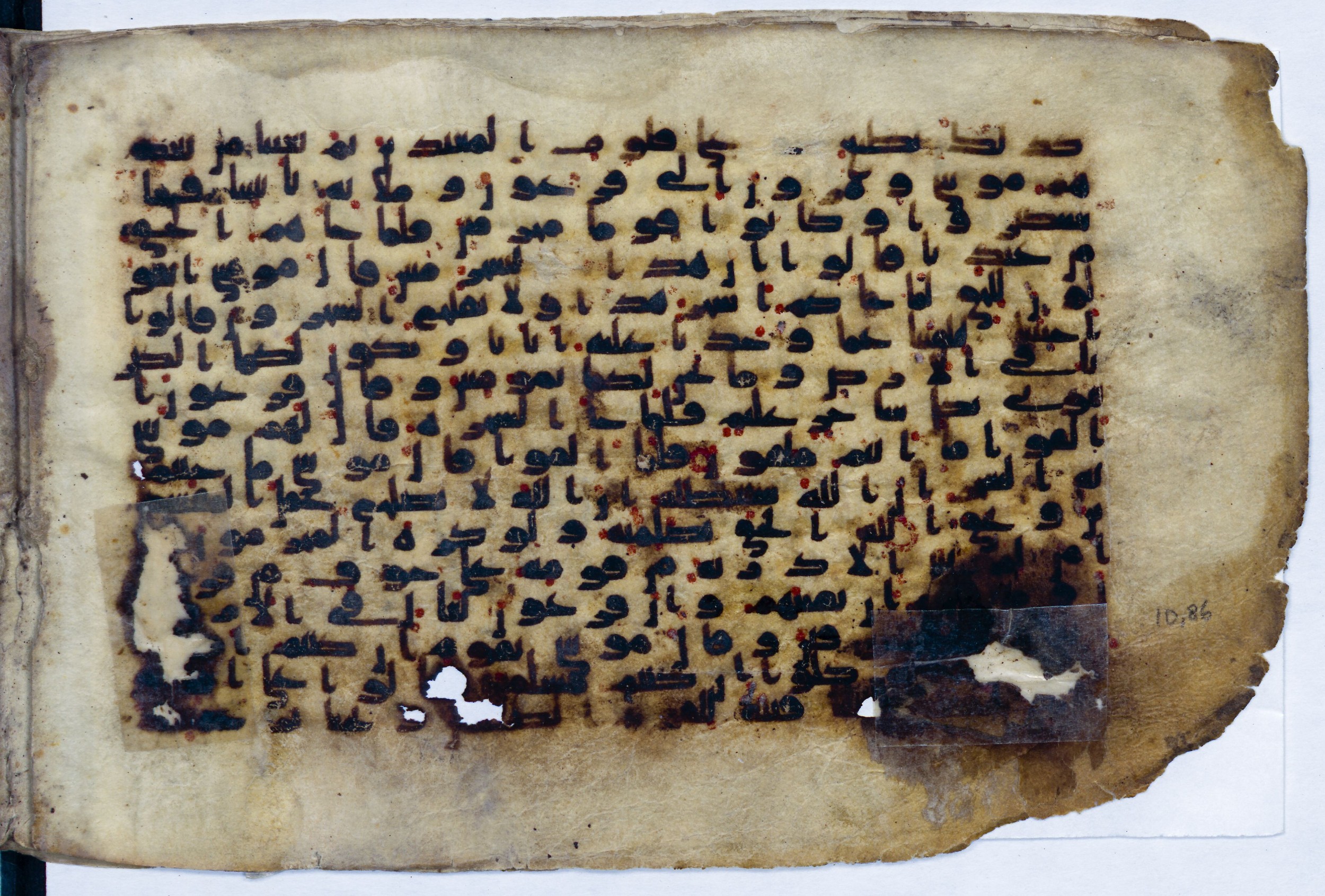 Leiden, Universiteitsbibliotheek Leiden, Or. 6814, in kūfī B.II script, showing Surah 10:83 from 8th to 9th Century AD found in Unknown (Purchased in Oegstgeest, Netherlands), currently housed at Universiteitsbibliotheek Leiden, Leiden