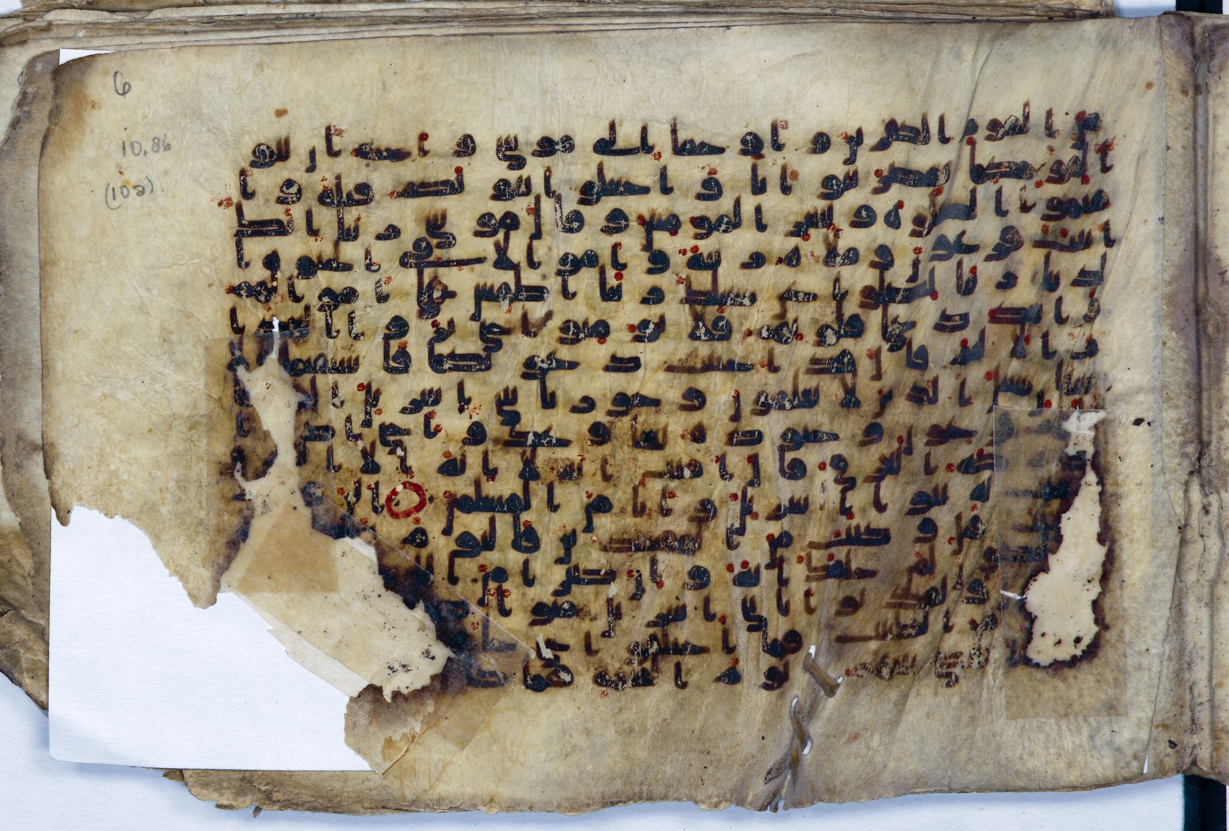 Leiden, Universiteitsbibliotheek Leiden, Or. 6814 (Scan 1), in kūfī B.II script, showing Surah 10:89 from 8th to 9th Century AD found in Unknown (Purchased in Oegstgeest, Netherlands), currently housed at Universiteitsbibliotheek Leiden, Leiden