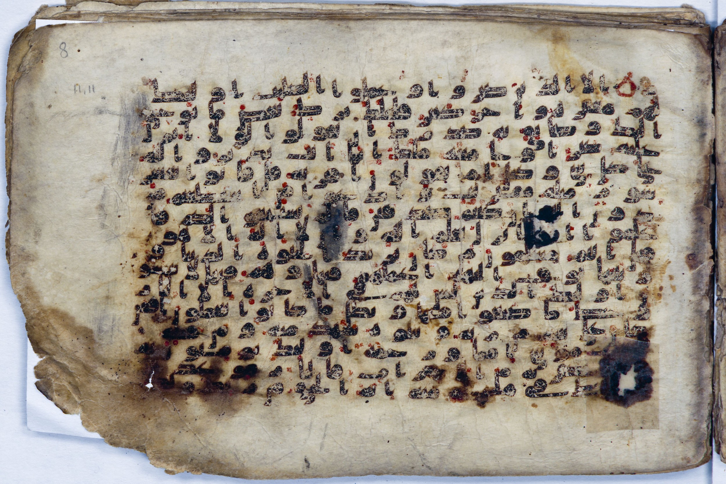 Leiden, Universiteitsbibliotheek Leiden, Or. 6814, in kūfī B.II script, showing Surah 11:16 from 8th to 9th Century AD found in Unknown (Purchased in Oegstgeest, Netherlands), currently housed at Universiteitsbibliotheek Leiden, Leiden
