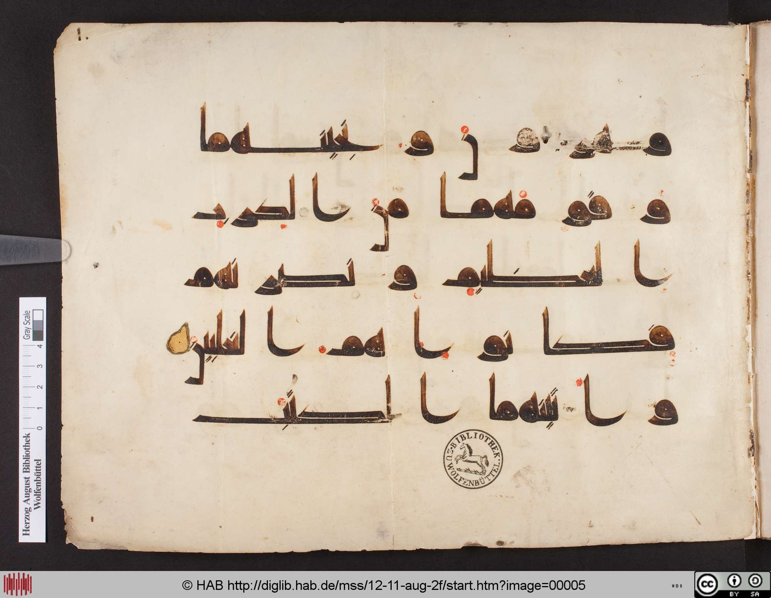 Wolfenbüttel, Herzog-August-Bibliothek, Cod. Guelf. 12. 11. Aug. fol., in kūfī D.I script, showing Surah 37:115 from Mid 8th to Late 9th Century AD found in Unknown, currently housed at Herzog-August-Bibliothek, Wolfenbüttel, Germany