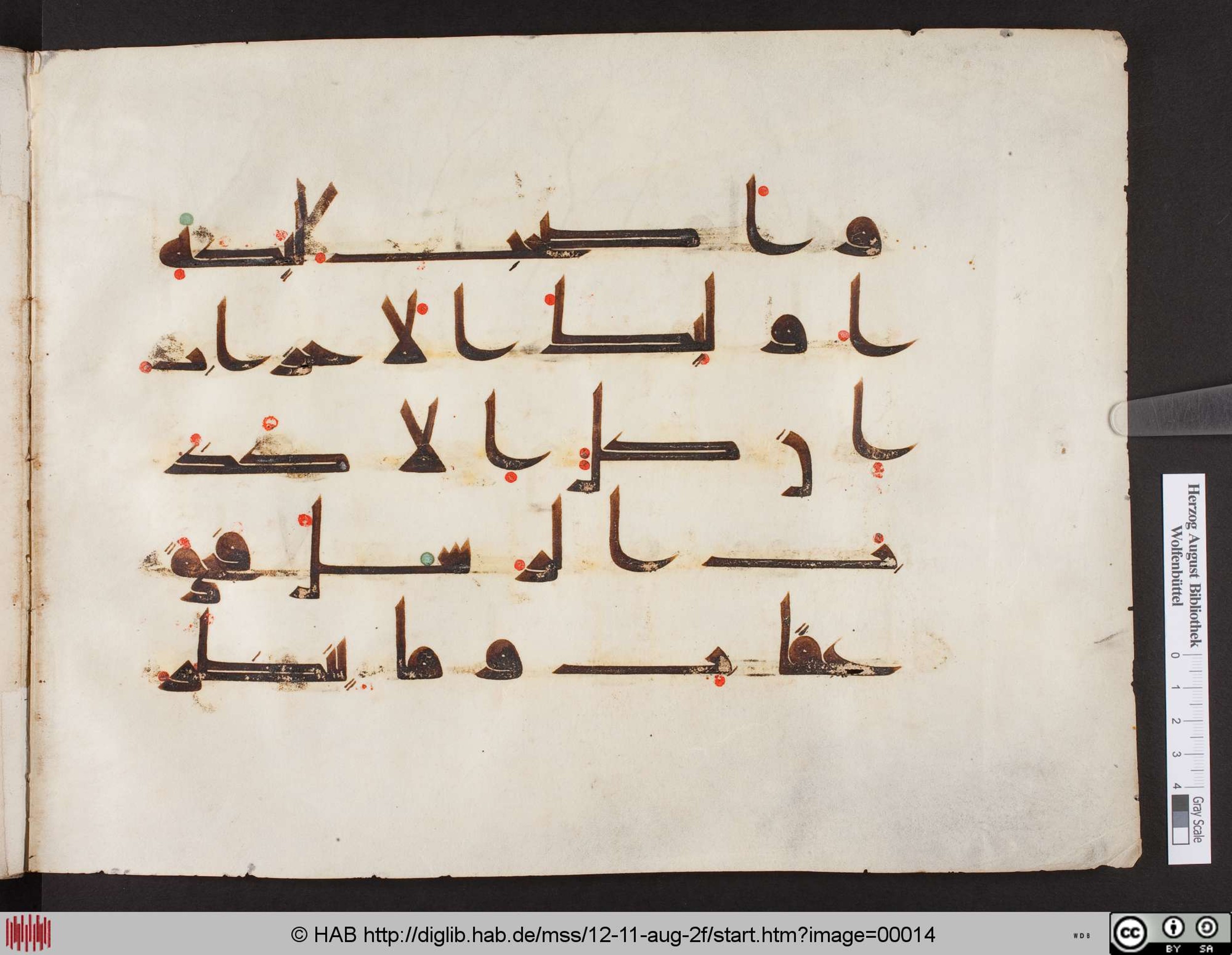 Wolfenbüttel, Herzog-August-Bibliothek, Cod. Guelf. 12. 11. Aug. fol. (Scan 2), in kūfī D.I script, showing Surah 38:13 from Mid 8th to Late 9th Century AD found in Unknown, currently housed at Herzog-August-Bibliothek, Wolfenbüttel, Germany