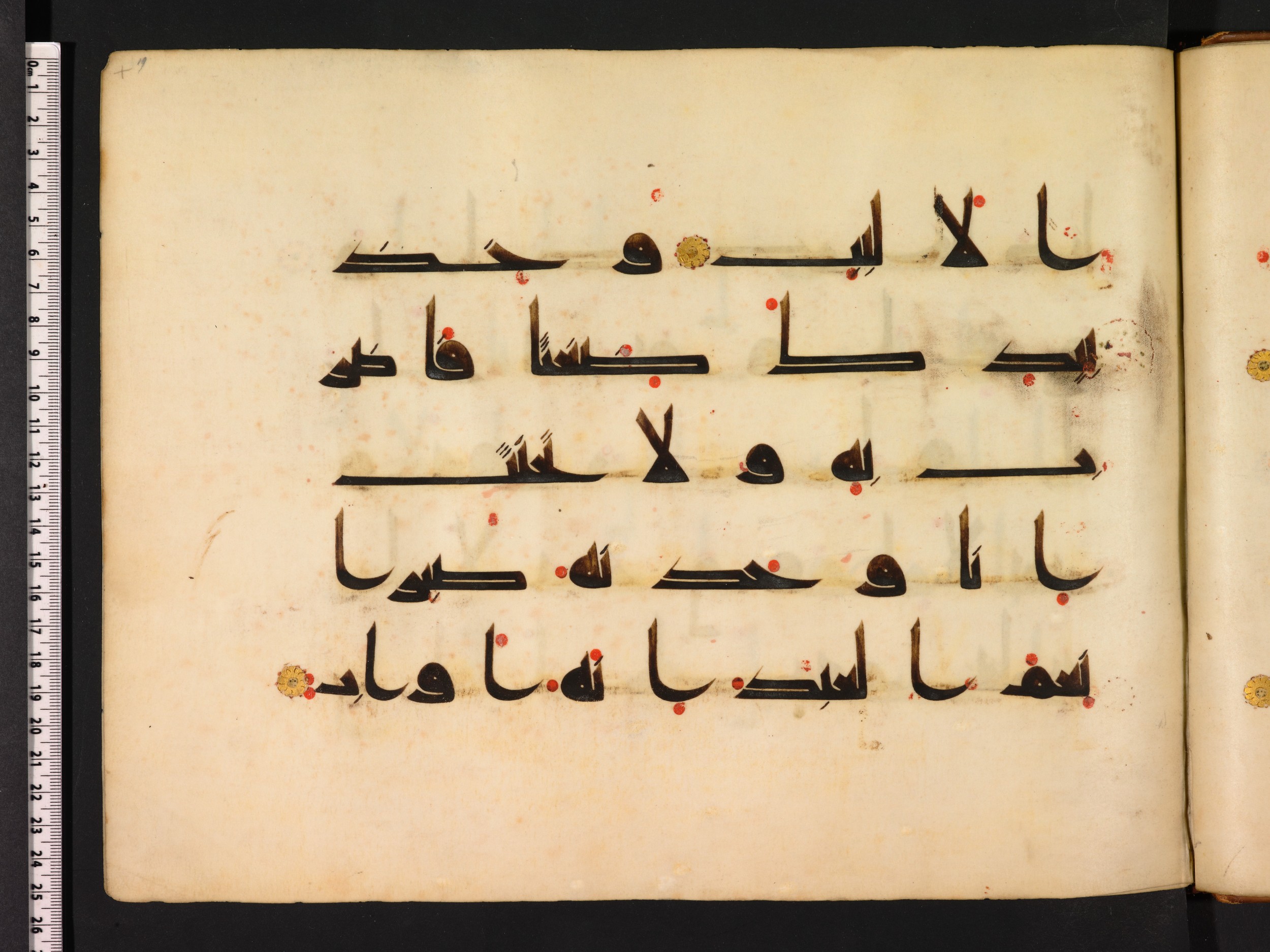 Oxford, Bodleian Library (Oxford University), Marsh 178 (Scan 2), in kūfī D.I script, showing Surah 38:44 from Mid 8th to Late 9th Century AD found in Fustat (Old Cairo), Egypt, currently housed at Bodleian Library (Oxford University), Oxford