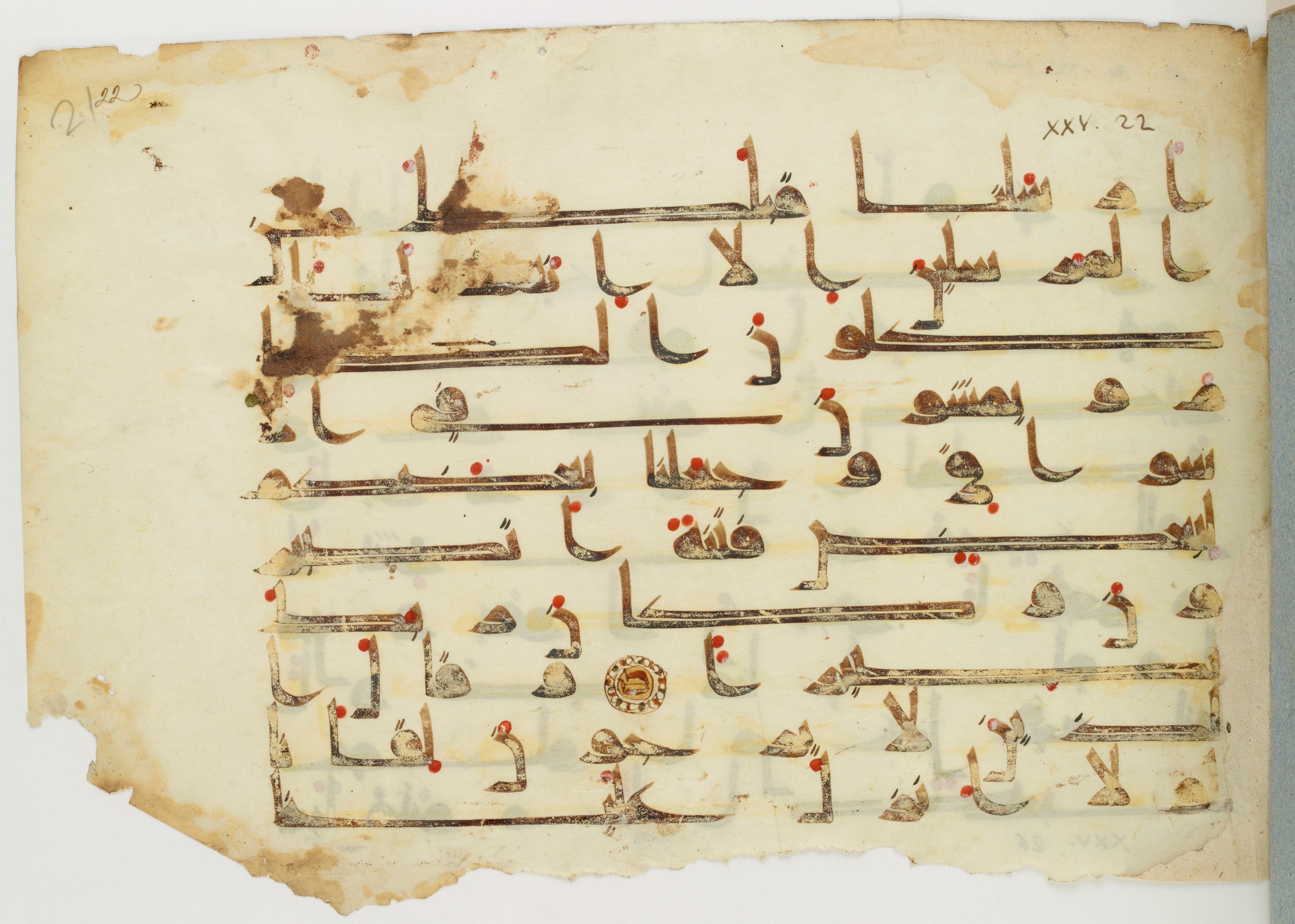Bibliothèque nationale de France, Arabe 325 (d, f) (Scan 1), in Kūfī D.V.a script, showing Surah 25:21 from Mid-8th to Late 9th Century AD found in Fustat (Old Cairo), Egypt, currently housed at Bibliothèque nationale de France, Paris