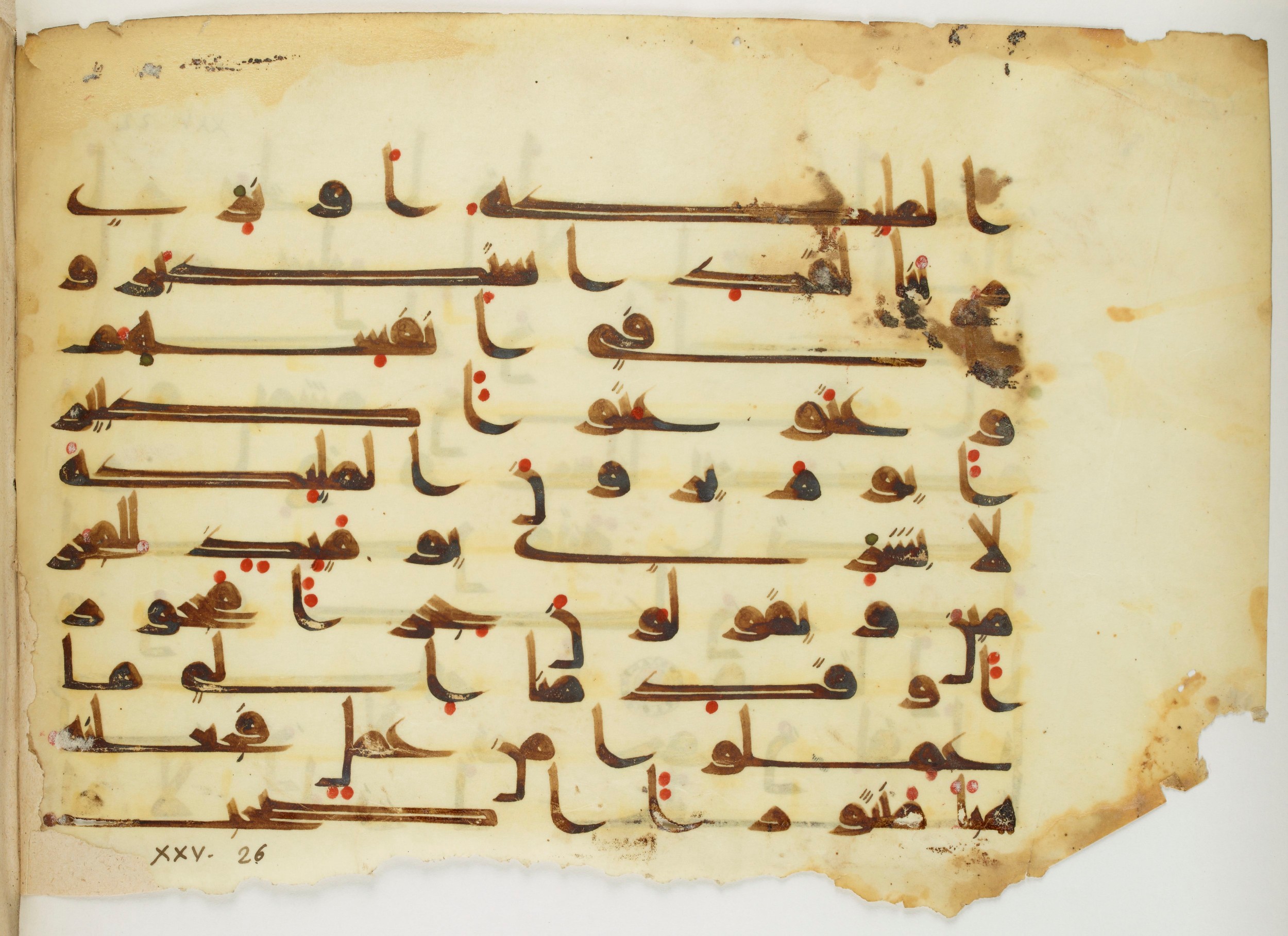 Bibliothèque nationale de France, Arabe 325 (d, f) (Scan 2), in Kūfī D.V.a script, showing Surah 25:21 from Mid-8th to Late 9th Century AD found in Fustat (Old Cairo), Egypt, currently housed at Bibliothèque nationale de France, Paris