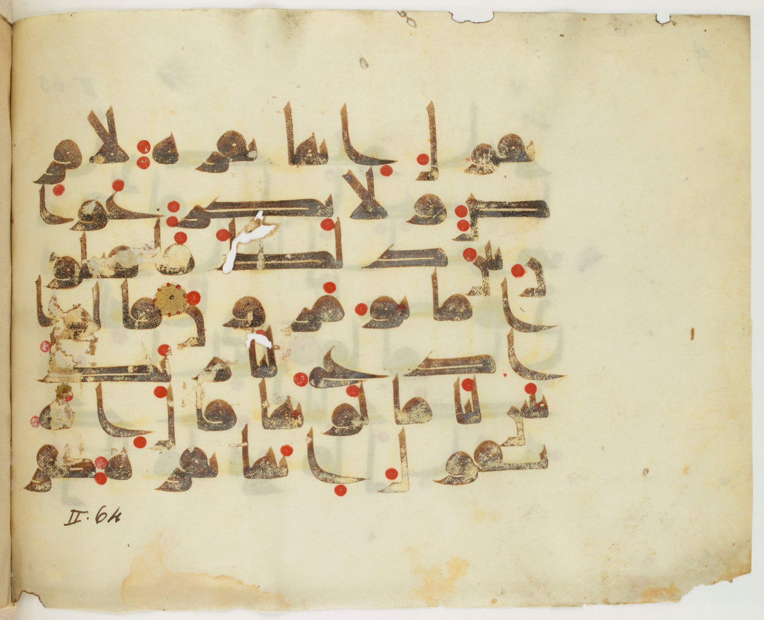 Paris, Bibliothèque nationale de France, Arabe 325 (j) (Scan 1), in Kūfī D.III script, showing Surah 2:69 from Mid 8th to Late 9th Century AD found in Fustat (Old Cairo), Egypt, currently housed at Bibliothèque nationale de France, Paris