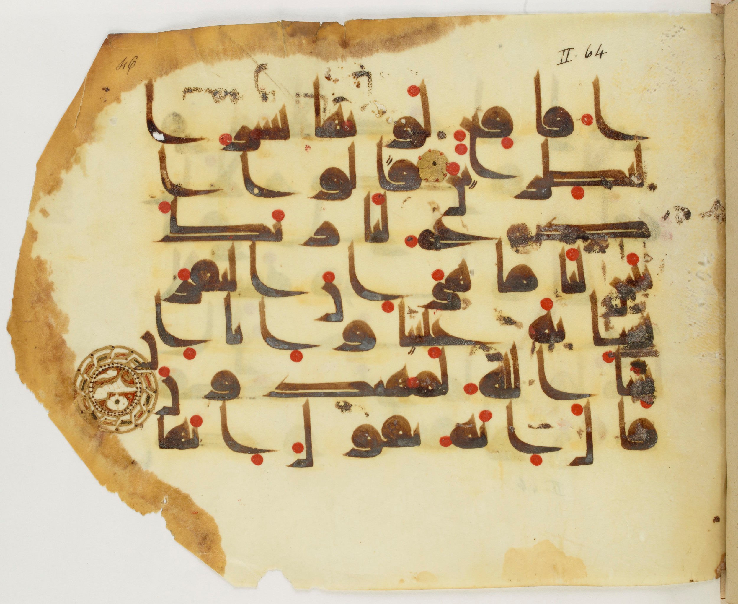 Paris, Bibliothèque nationale de France, Arabe 325 (j) (Scan 1), in Kūfī D.III script, showing Surah 2:71 from Mid 8th to Late 9th Century AD found in Fustat (Old Cairo), Egypt, currently housed at Bibliothèque nationale de France, Paris
