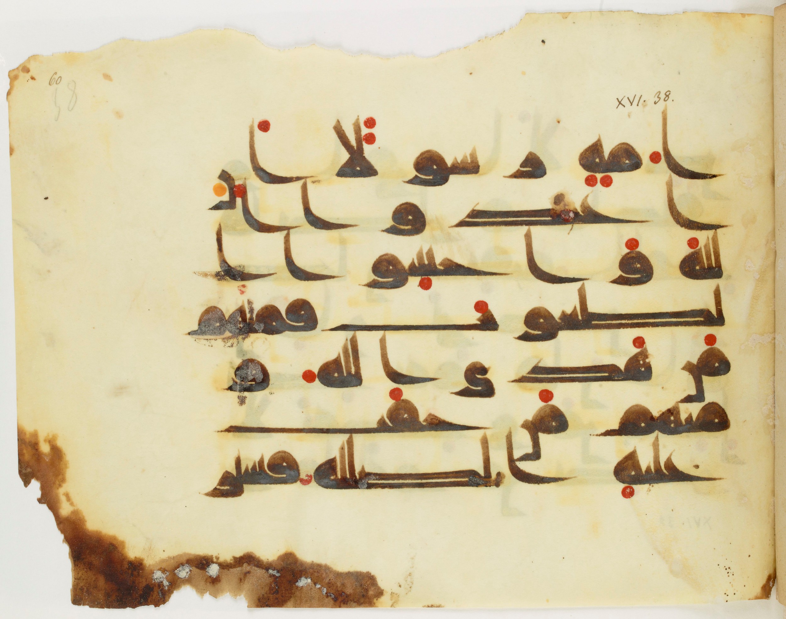 Paris, Bibliothèque nationale de France, Arabe 325 (j) (Scan 1), in Kūfī D.III script, showing Surah 16:36 from Mid 8th to Late 9th Century AD found in Fustat (Old Cairo), Egypt, currently housed at Bibliothèque nationale de France, Paris