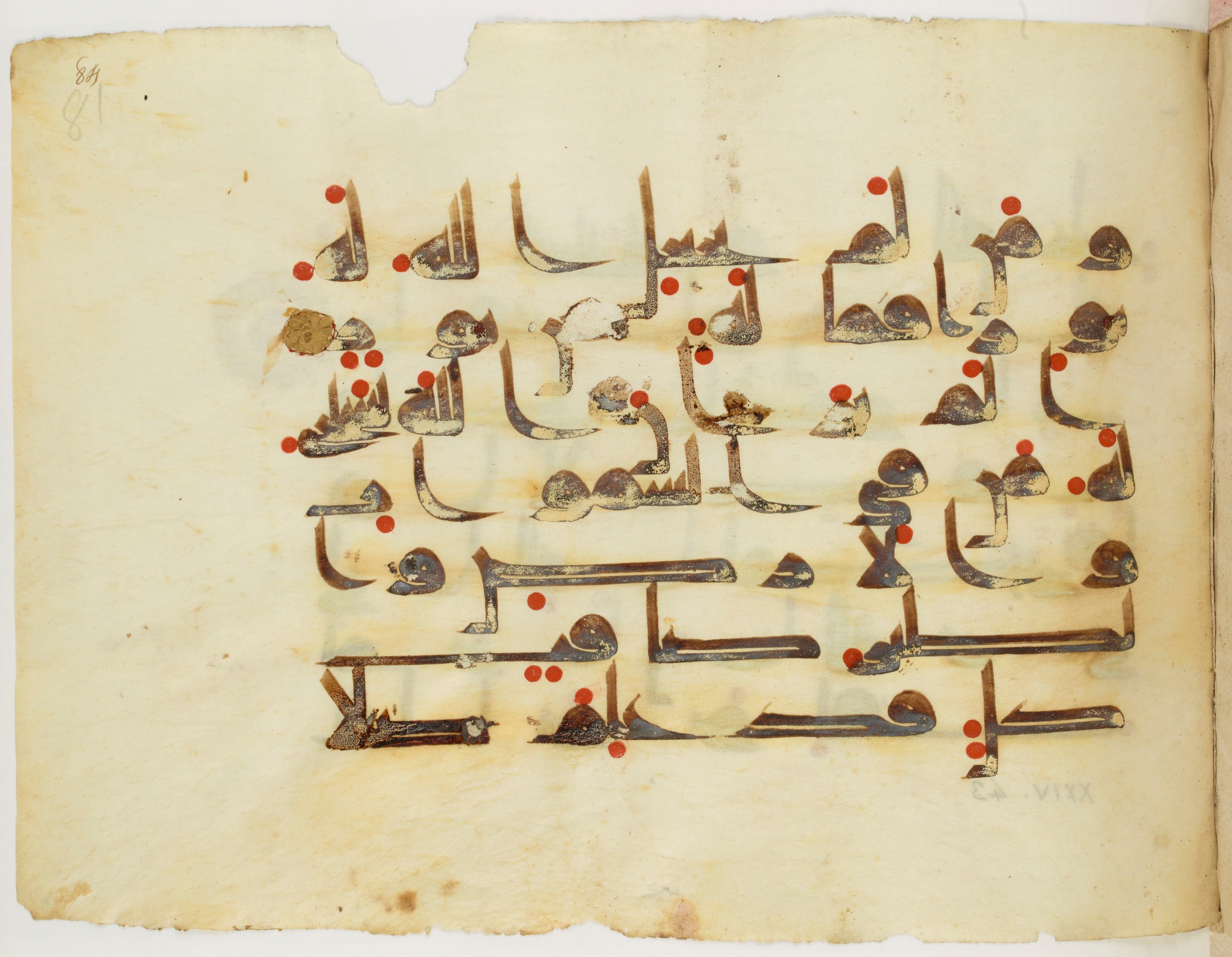 Paris, Bibliothèque nationale de France, Arabe 325 (j) (Scan 1), in Kūfī D.III script, showing Surah 24:41 from Mid 8th to Late 9th Century AD found in Fustat (Old Cairo), Egypt, currently housed at Bibliothèque nationale de France, Paris