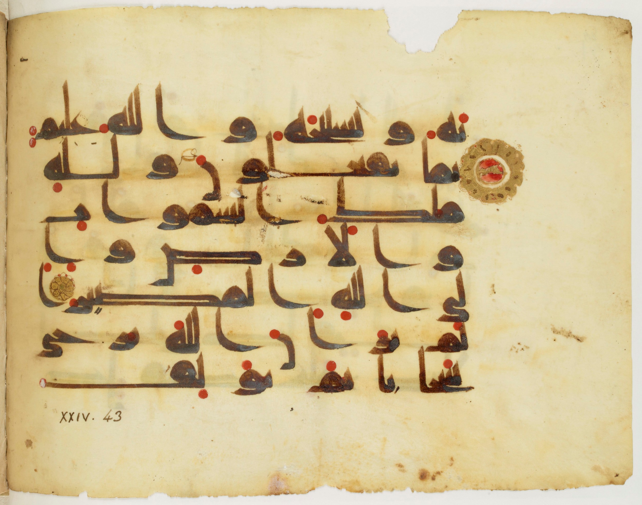 Paris, Bibliothèque nationale de France, Arabe 325 (j) (Scan 2), in Kūfī D.III script, showing Surah 24:41 from Mid 8th to Late 9th Century AD found in Fustat (Old Cairo), Egypt, currently housed at Bibliothèque nationale de France, Paris