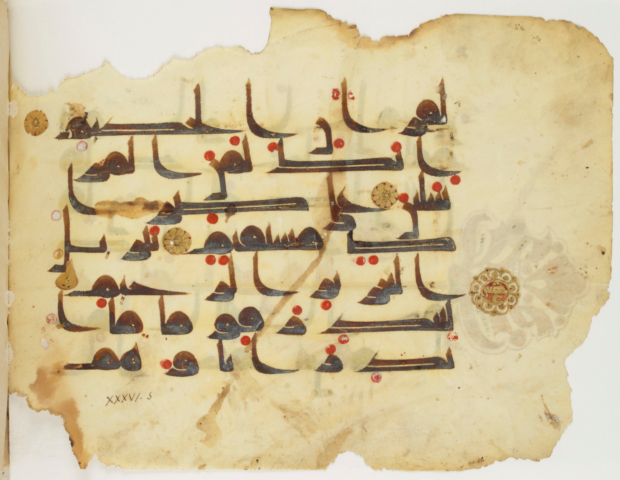 Paris, Bibliothèque nationale de France, Arabe 325 (j), in Kūfī D.III script, showing Surah 36:3 from Mid 8th to Late 9th Century AD found in Fustat (Old Cairo), Egypt, currently housed at Bibliothèque nationale de France, Paris