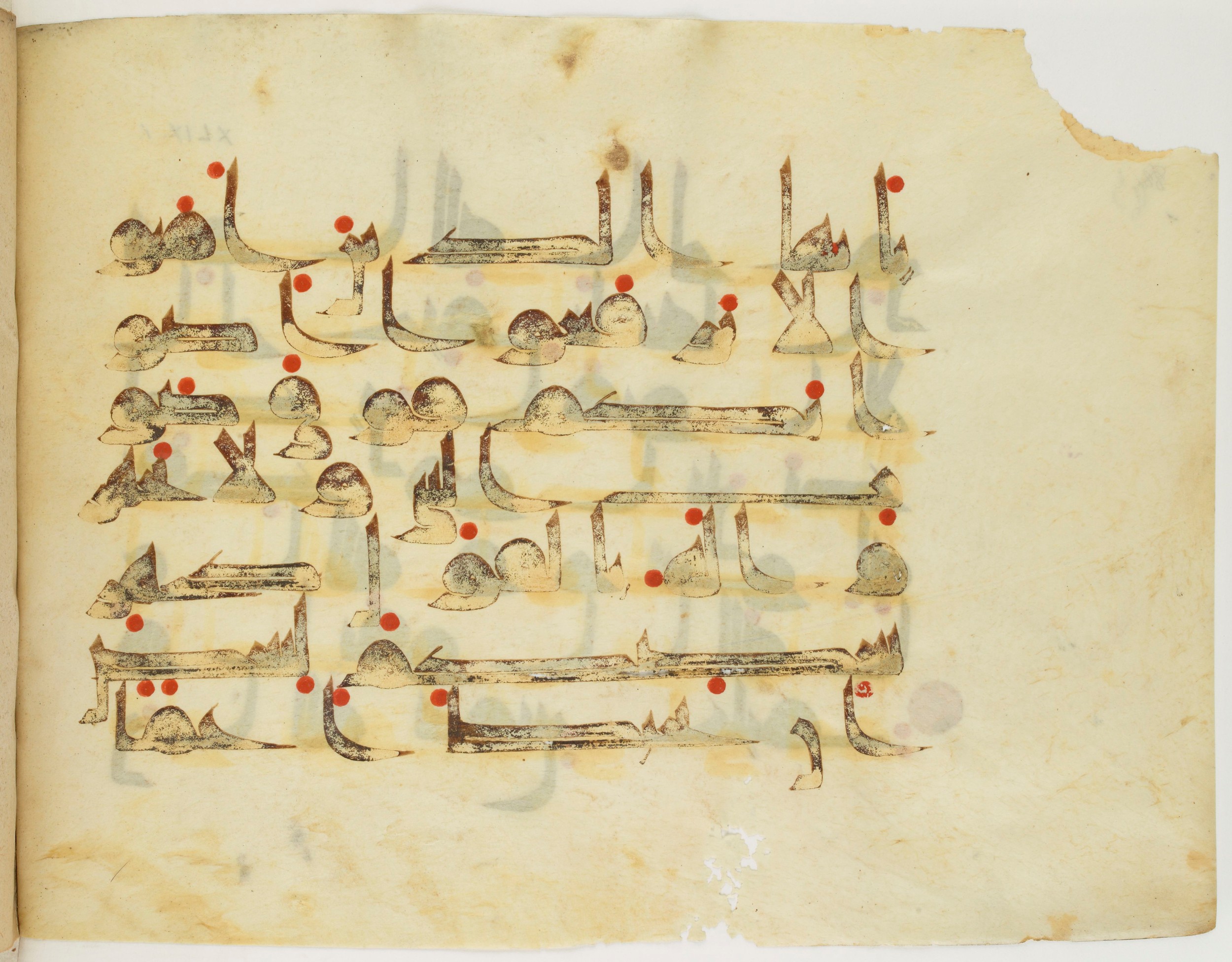 Paris, Bibliothèque nationale de France, Arabe 325 (j) (Scan 1), in Kūfī D.III script, showing Surah 49:2 from Mid 8th to Late 9th Century AD found in Fustat (Old Cairo), Egypt, currently housed at Bibliothèque nationale de France, Paris
