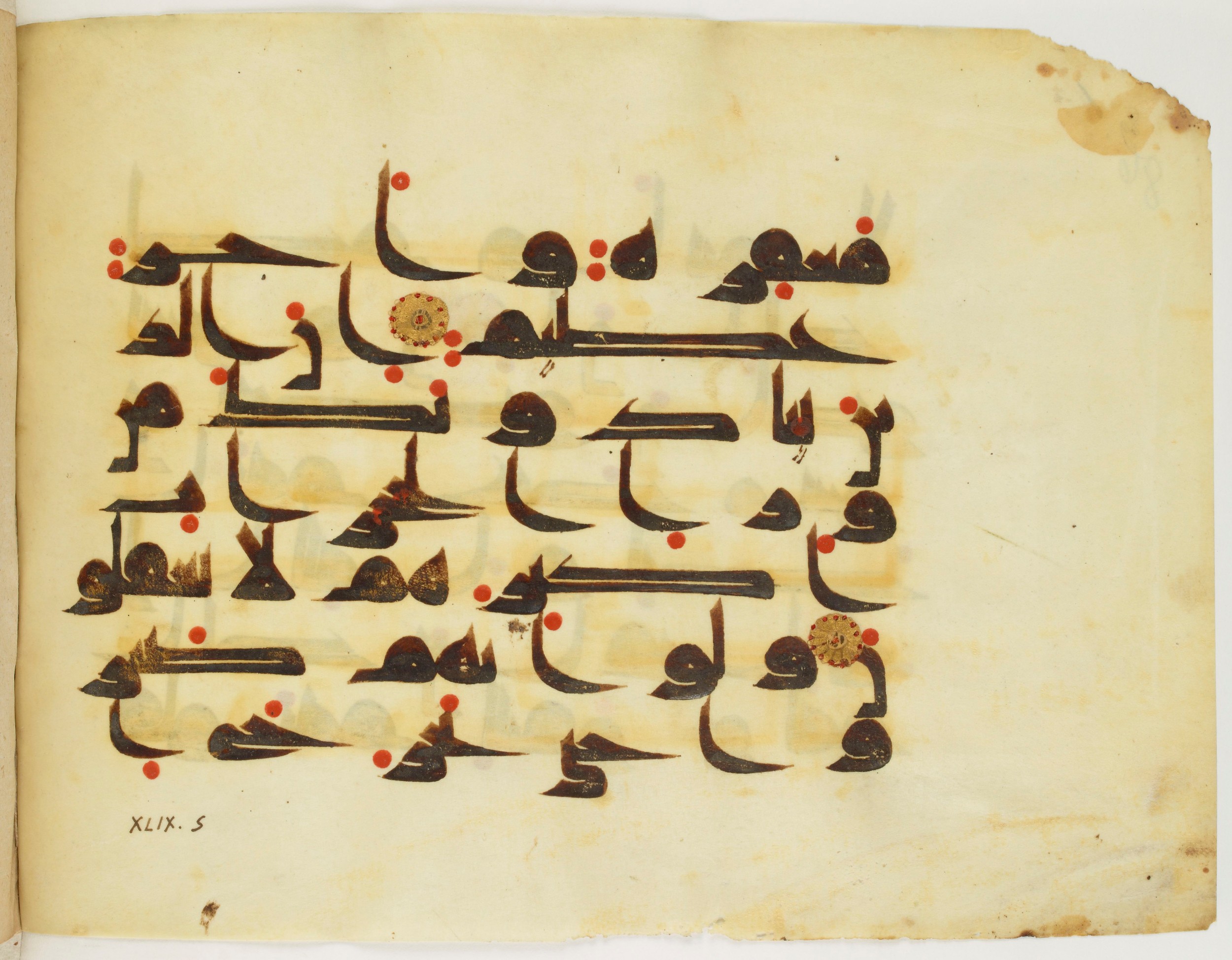 Paris, Bibliothèque nationale de France, Arabe 325 (j), in Kūfī D.III script, showing Surah 49:4 from Mid 8th to Late 9th Century AD found in Fustat (Old Cairo), Egypt, currently housed at Bibliothèque nationale de France, Paris