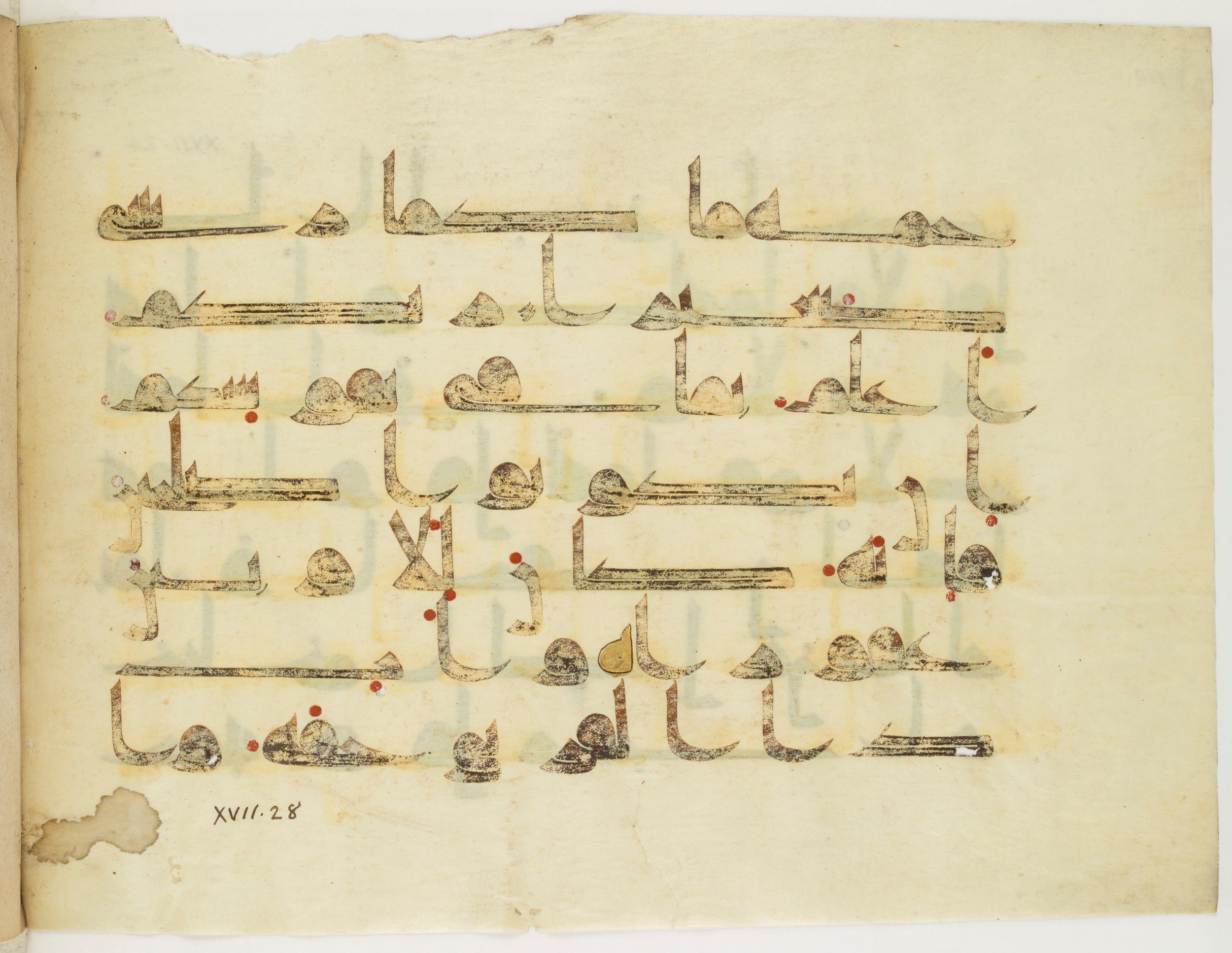 Paris, Bibliothèque nationale de France, Arabe 325 (k) (Scan 2), in Kufic D.I script, showing Surah 17:24 from Mid 8th to Late 9th Century AD found in Fustat (Old Cairo), Egypt, currently housed at Bibliothèque nationale de France, Paris