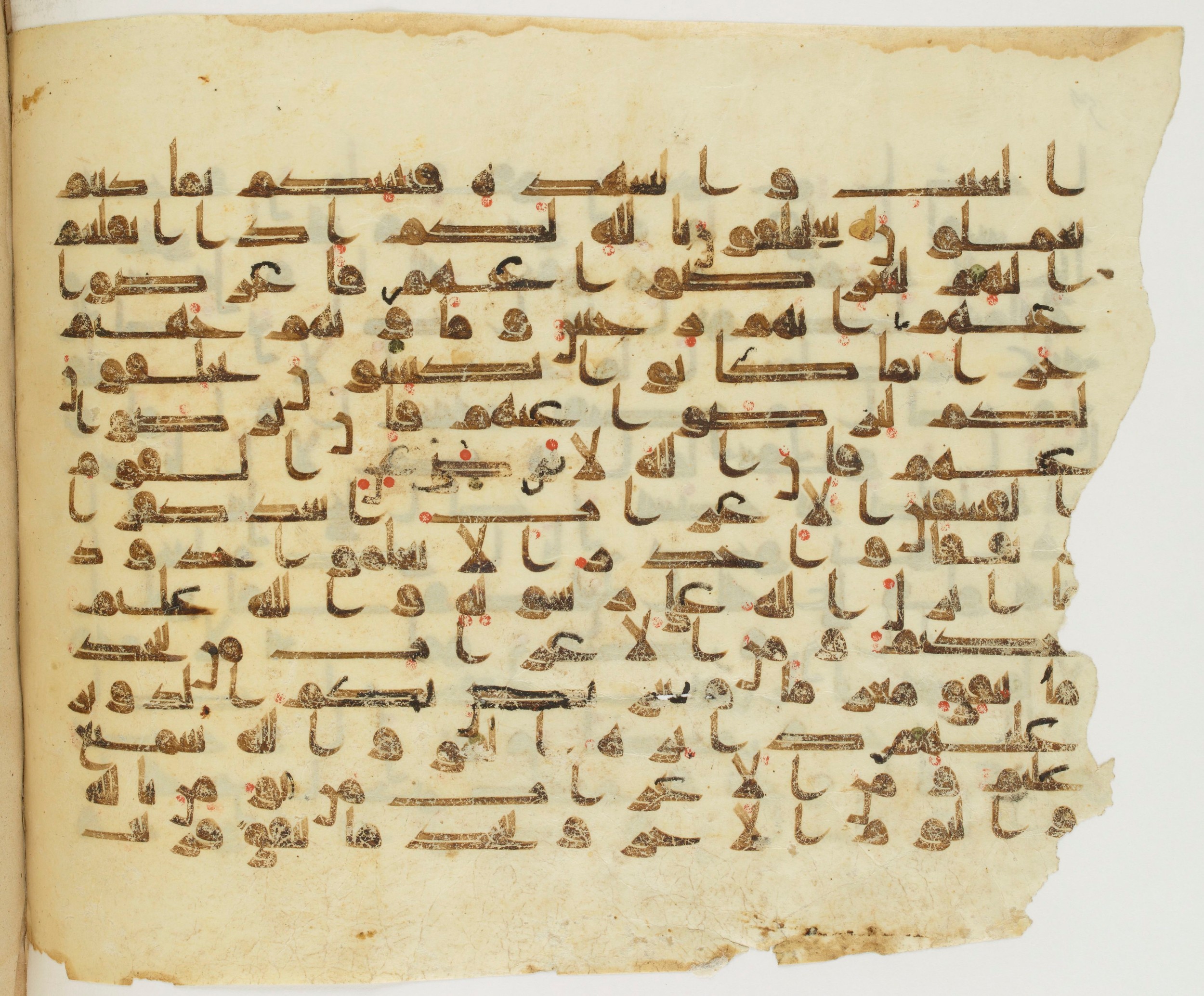 Paris, Bibliothèque nationale de France, Arabe 337 (d), in Kūfī D.I script, showing Surah 9:97 from 8th to 9th Century AD found in Fustat (Old Cairo), Egypt, currently housed at Bibliothèque nationale de France, Paris