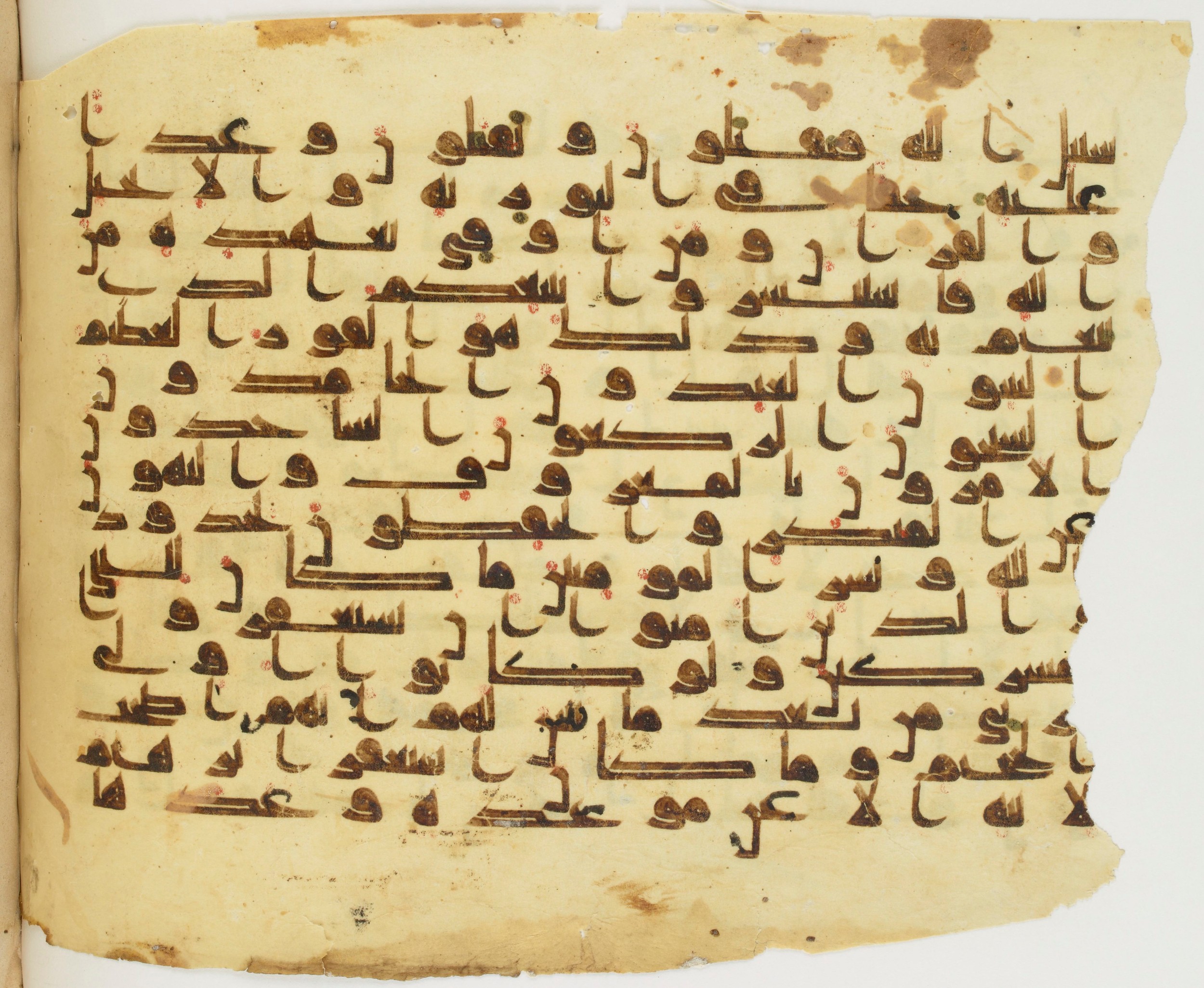 Paris, Bibliothèque nationale de France, Arabe 337 (d), in Kūfī D.I script, showing Surah 9:113 from 8th to 9th Century AD found in Fustat (Old Cairo), Egypt, currently housed at Bibliothèque nationale de France, Paris